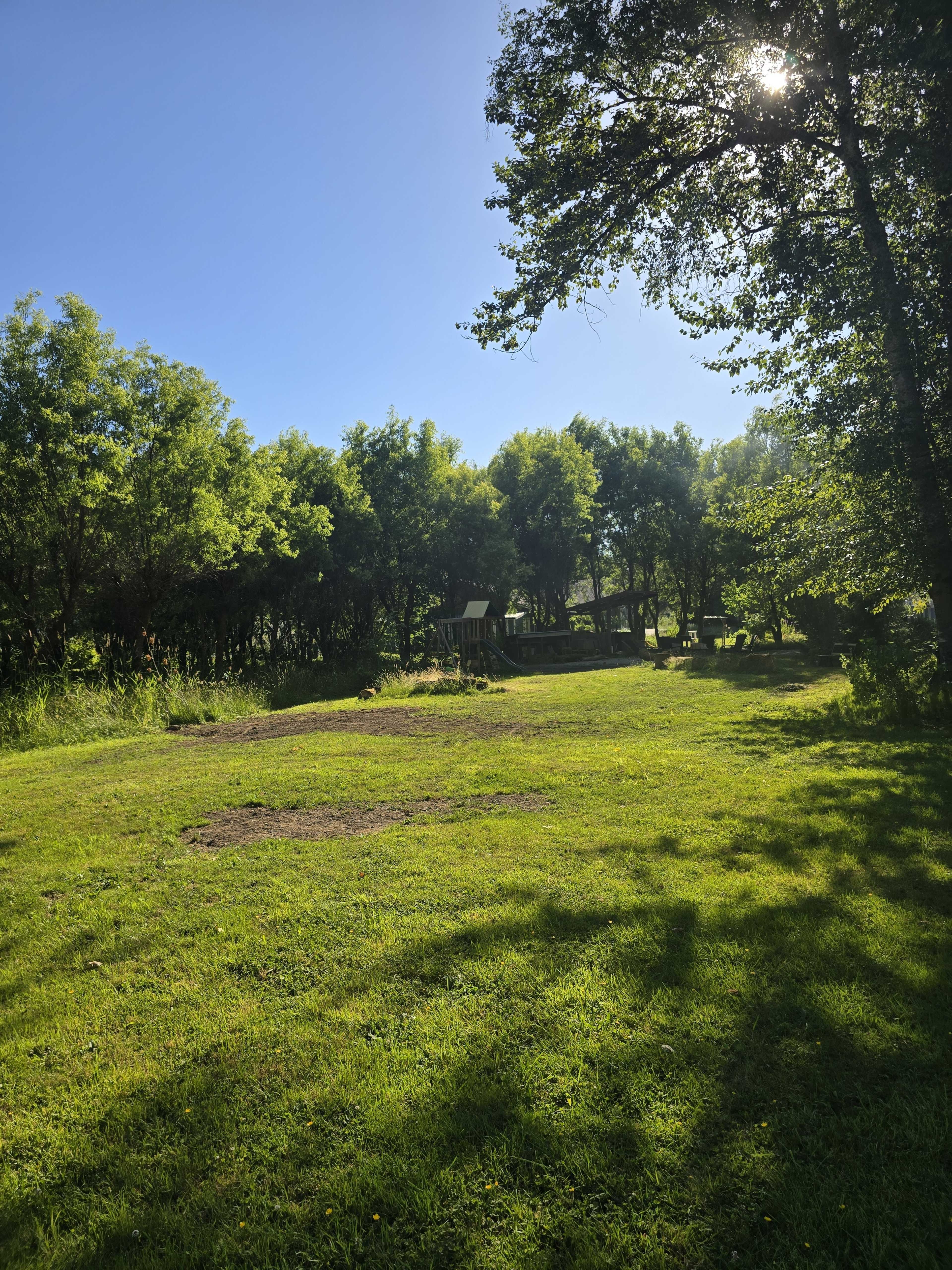 The image shows a grassy area surrounded by trees under a clear blue sky.