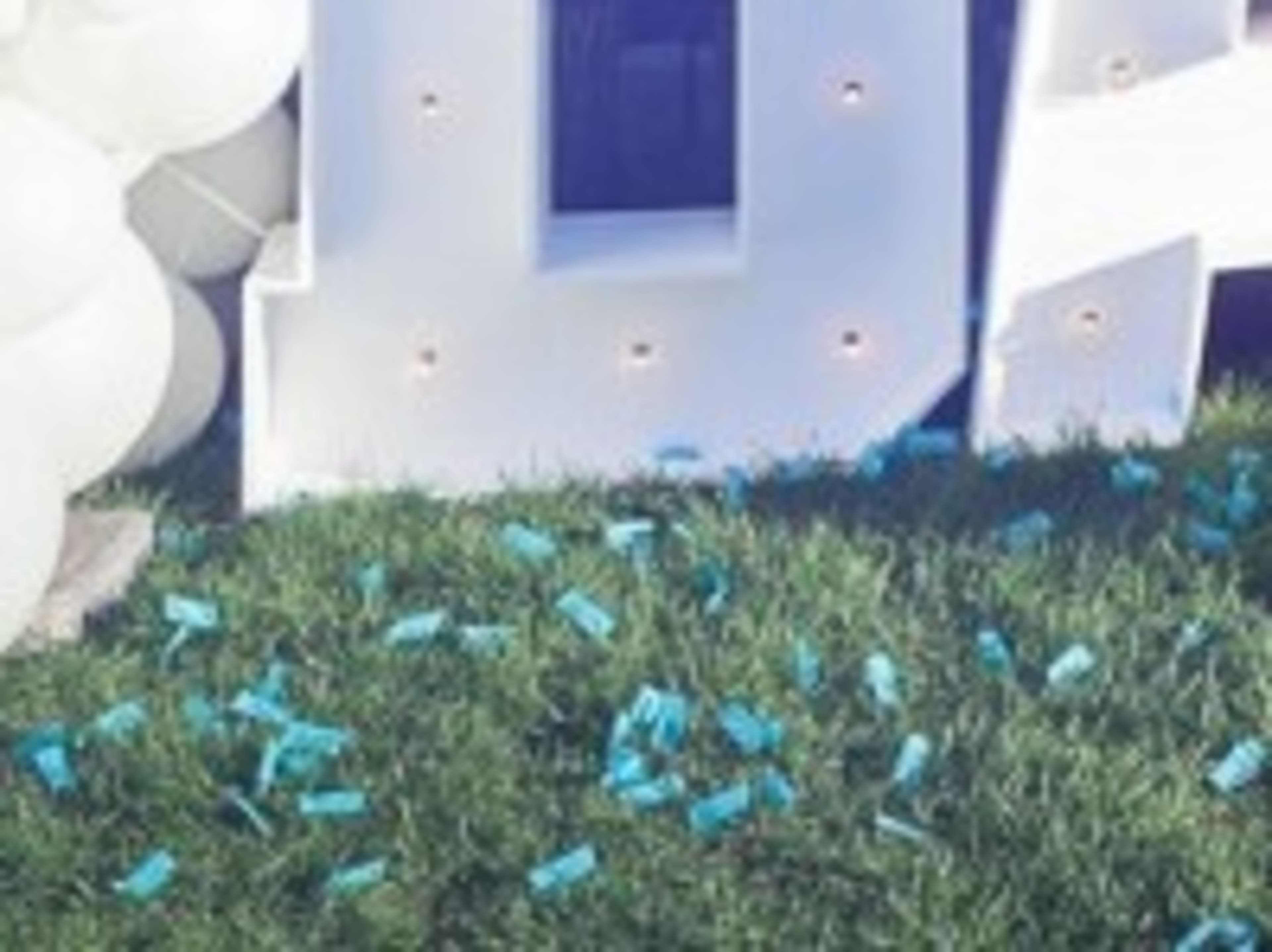 Violation of Confetti policy