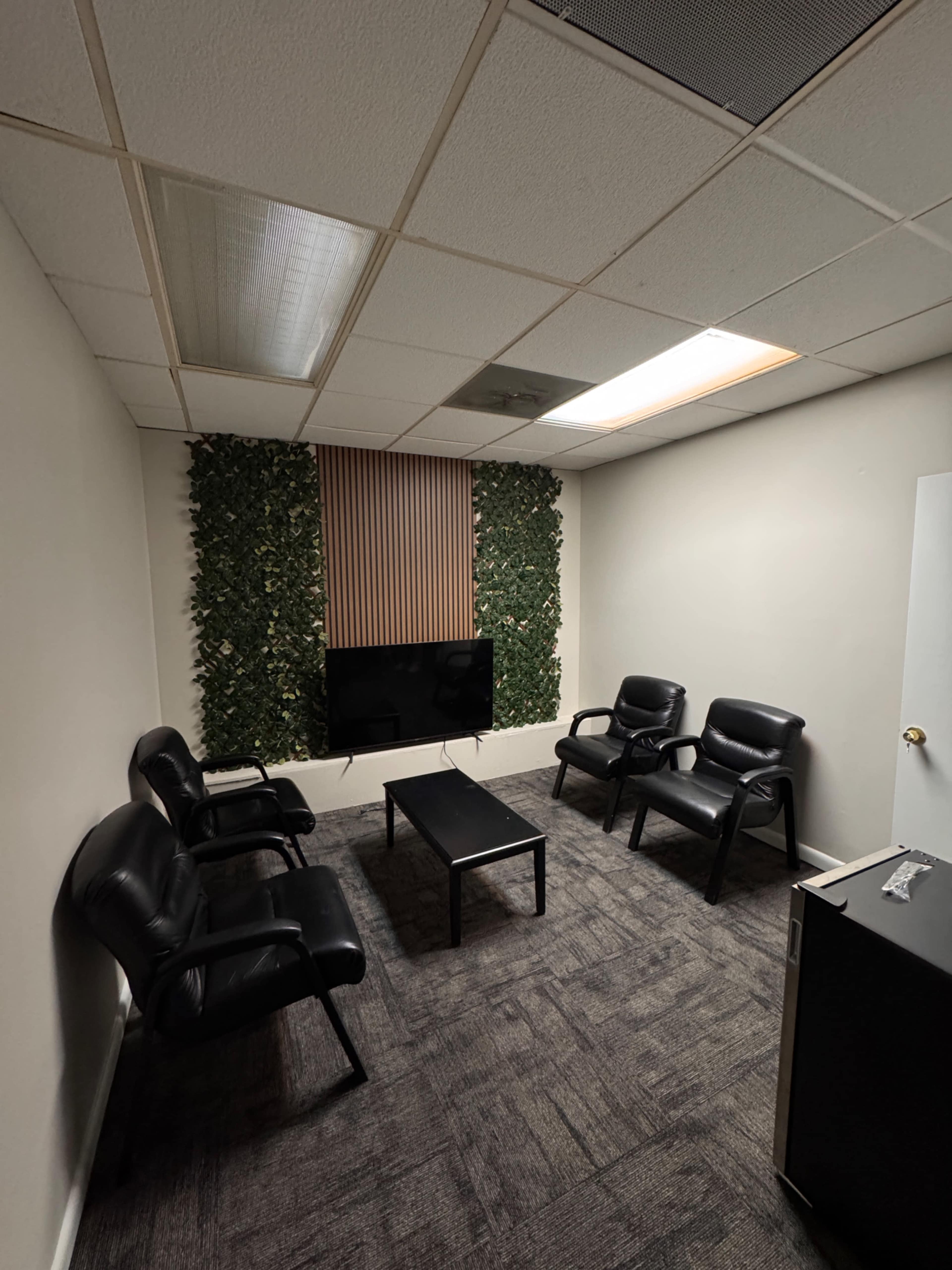 Modern Wellness & Movement Studio | Natural Light | Somatic Space Image in Northwest Tampa, Tampa, FL