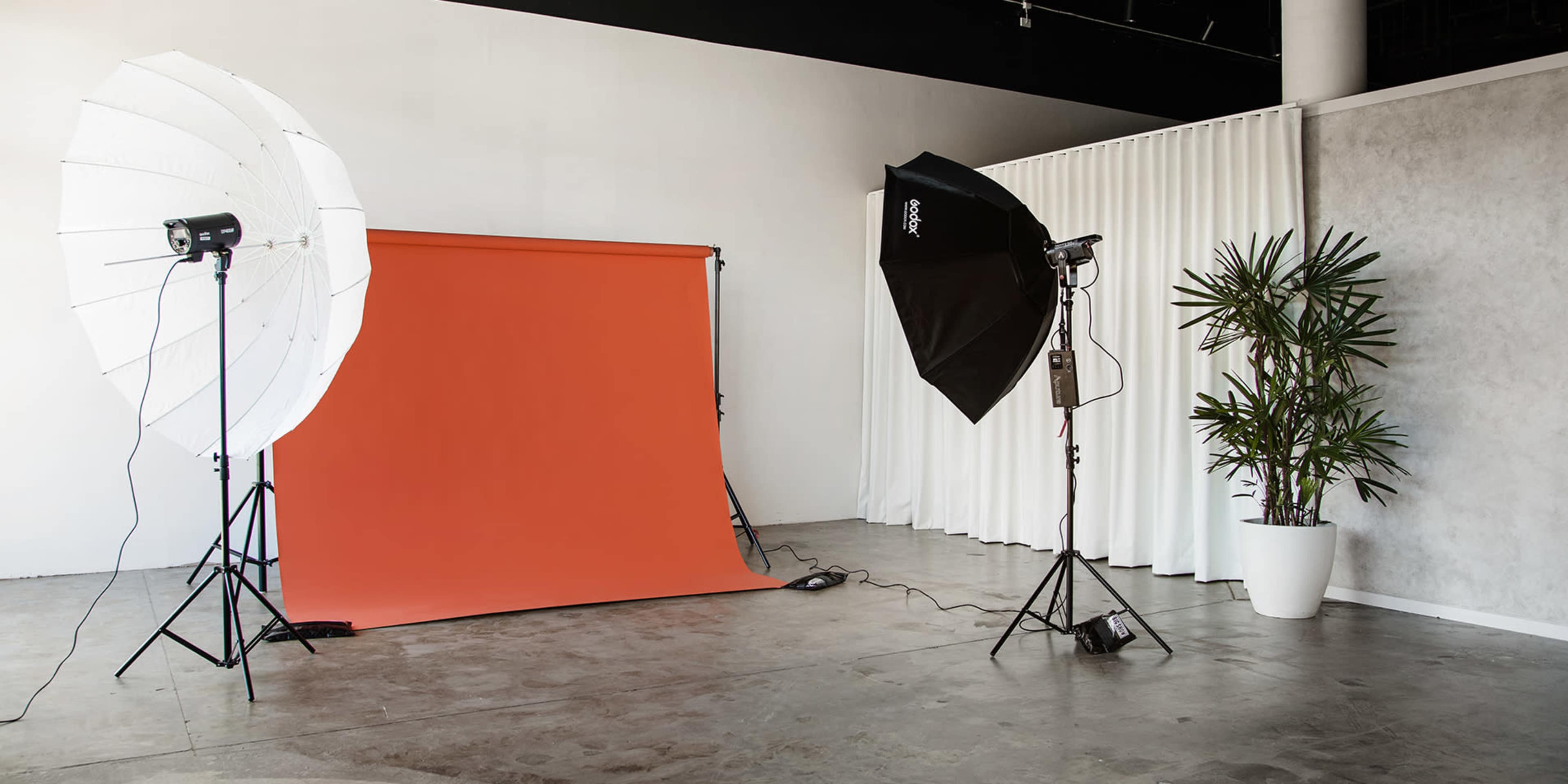 A photography studio setup with an orange backdrop, two light sources, and a potted plant in the corner.