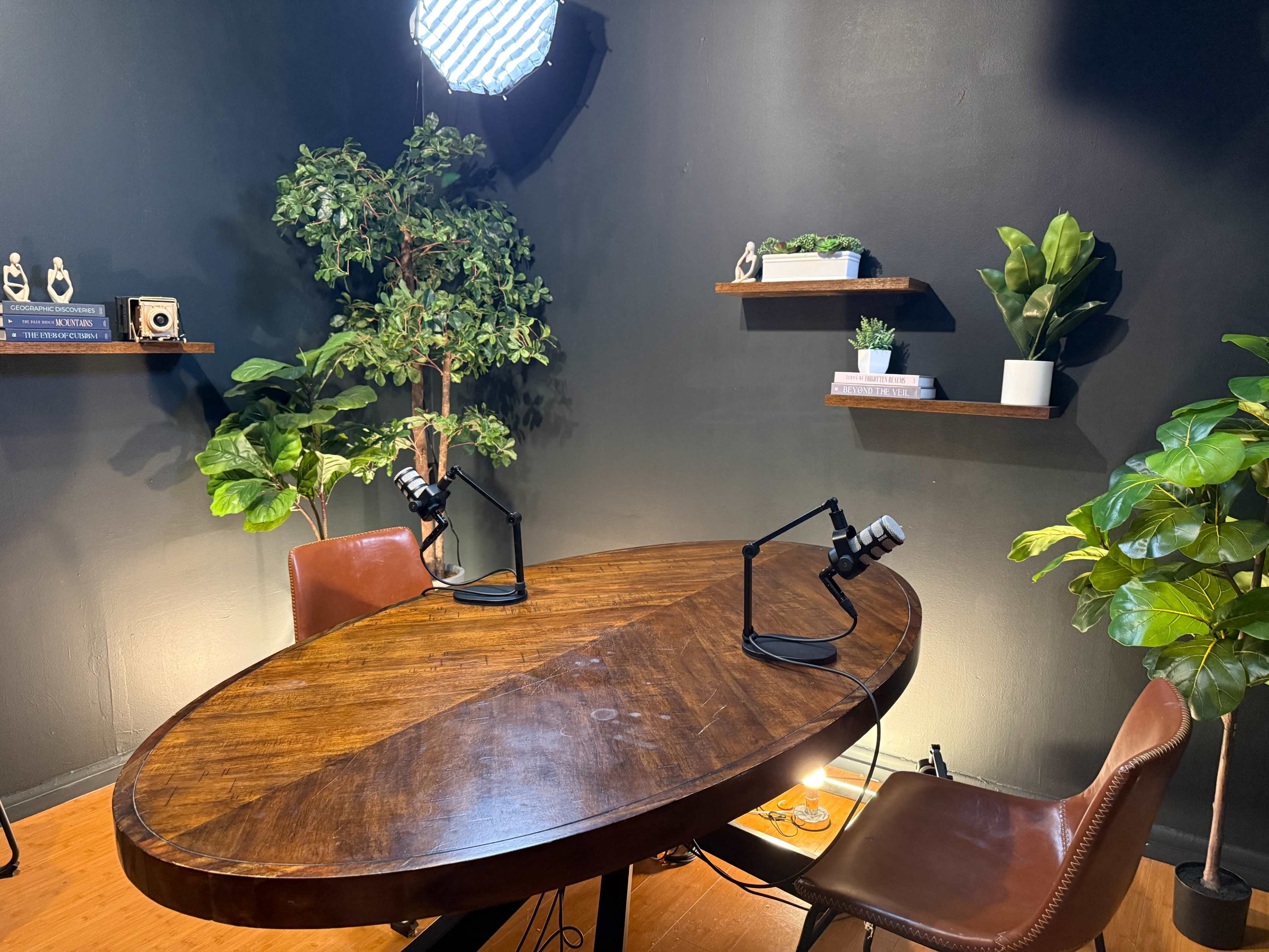 A small, neatly arranged podcast studio features a round wooden table with two microphones, surrounded by potted plants and shelves with decorative items against a dark wall.