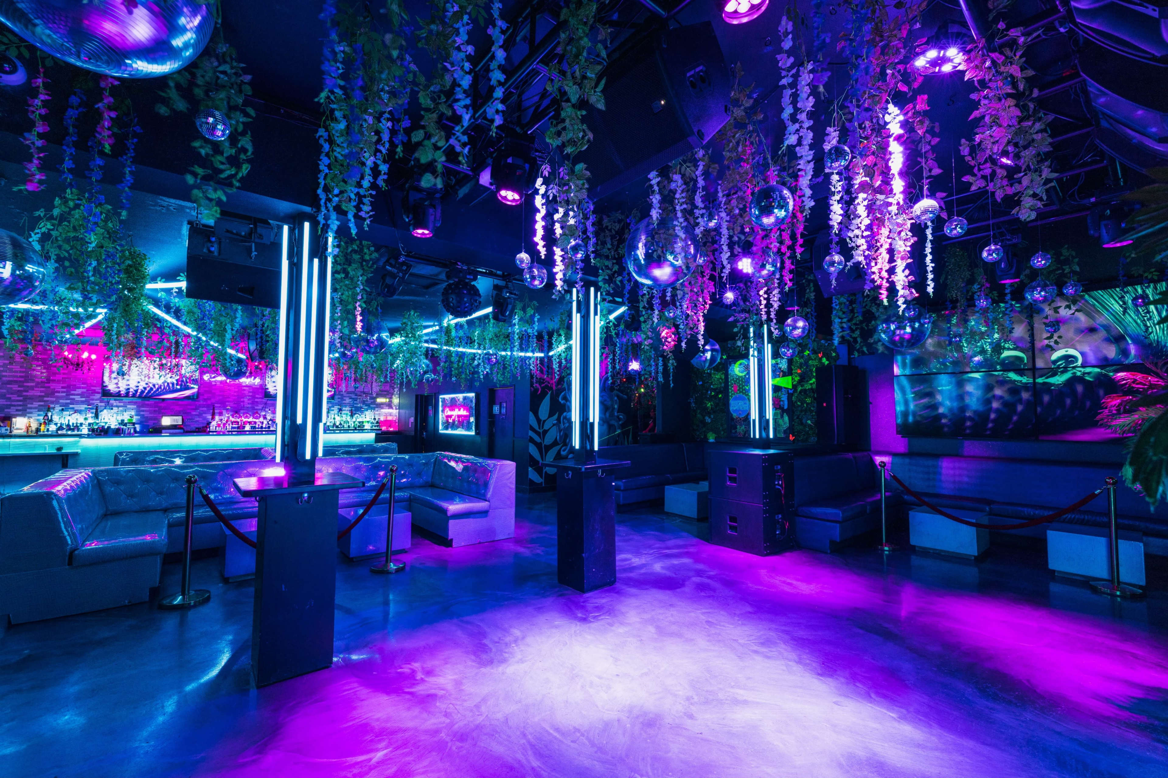 The image shows a vibrant nightclub interior with neon lights, hanging plants, and disco balls reflecting colorful illumination across the space.