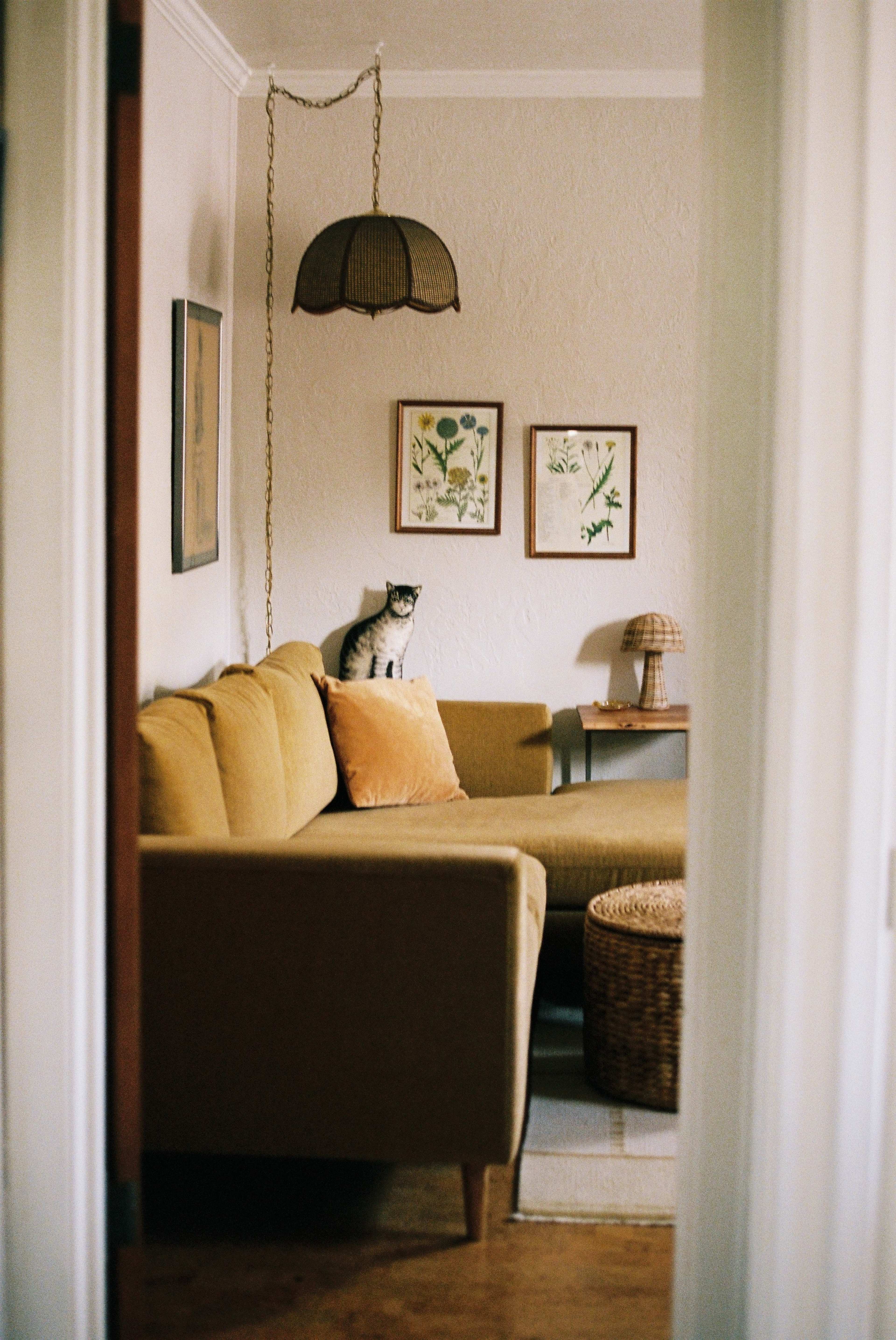 A cozy living room features a yellow couch, framed botanical prints on the wall, and a cat sitting on the armrest.