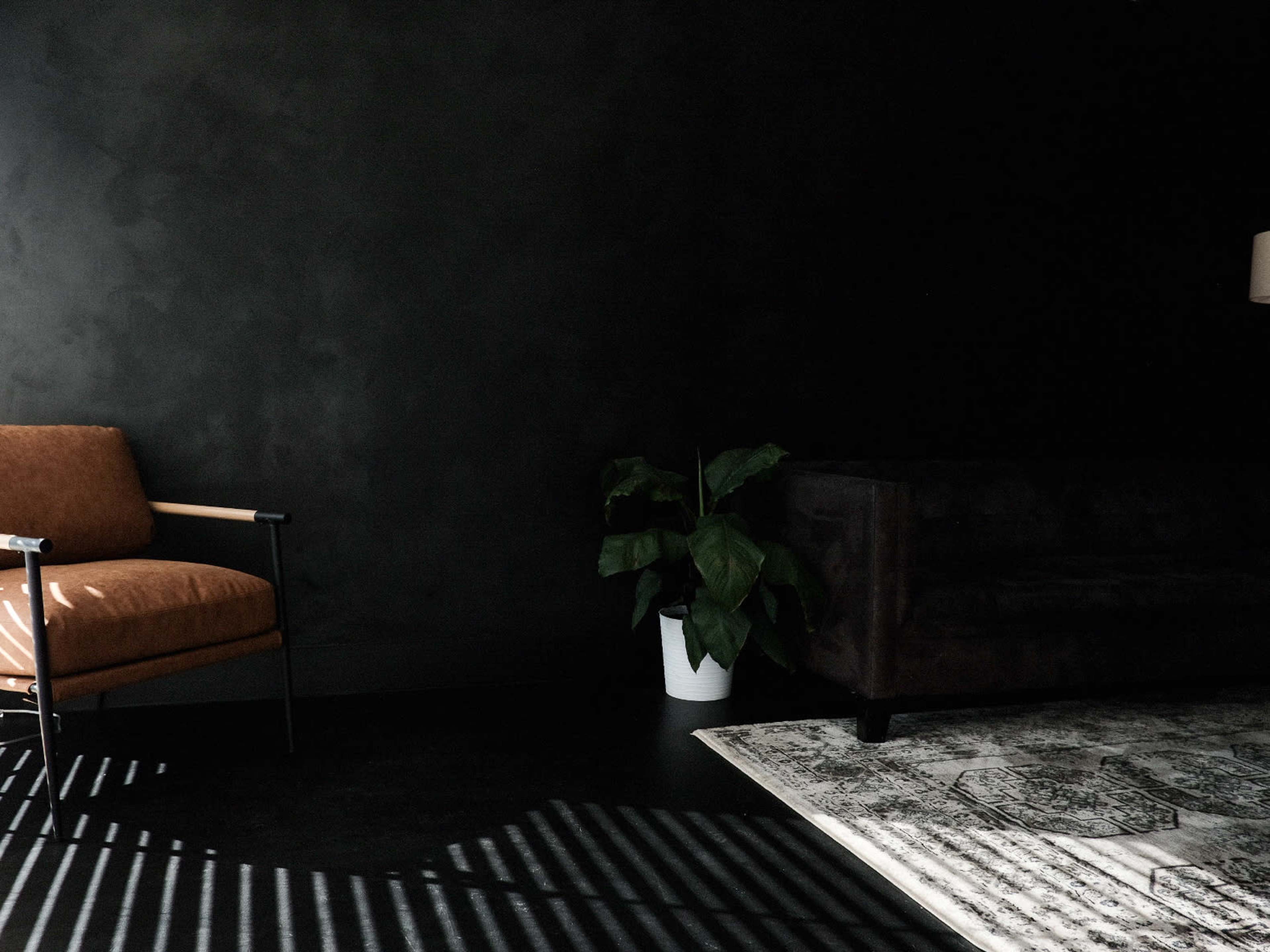 The image shows a dimly lit room with a brown armchair, a dark couch, a potted plant, and a patterned rug against a black wall.