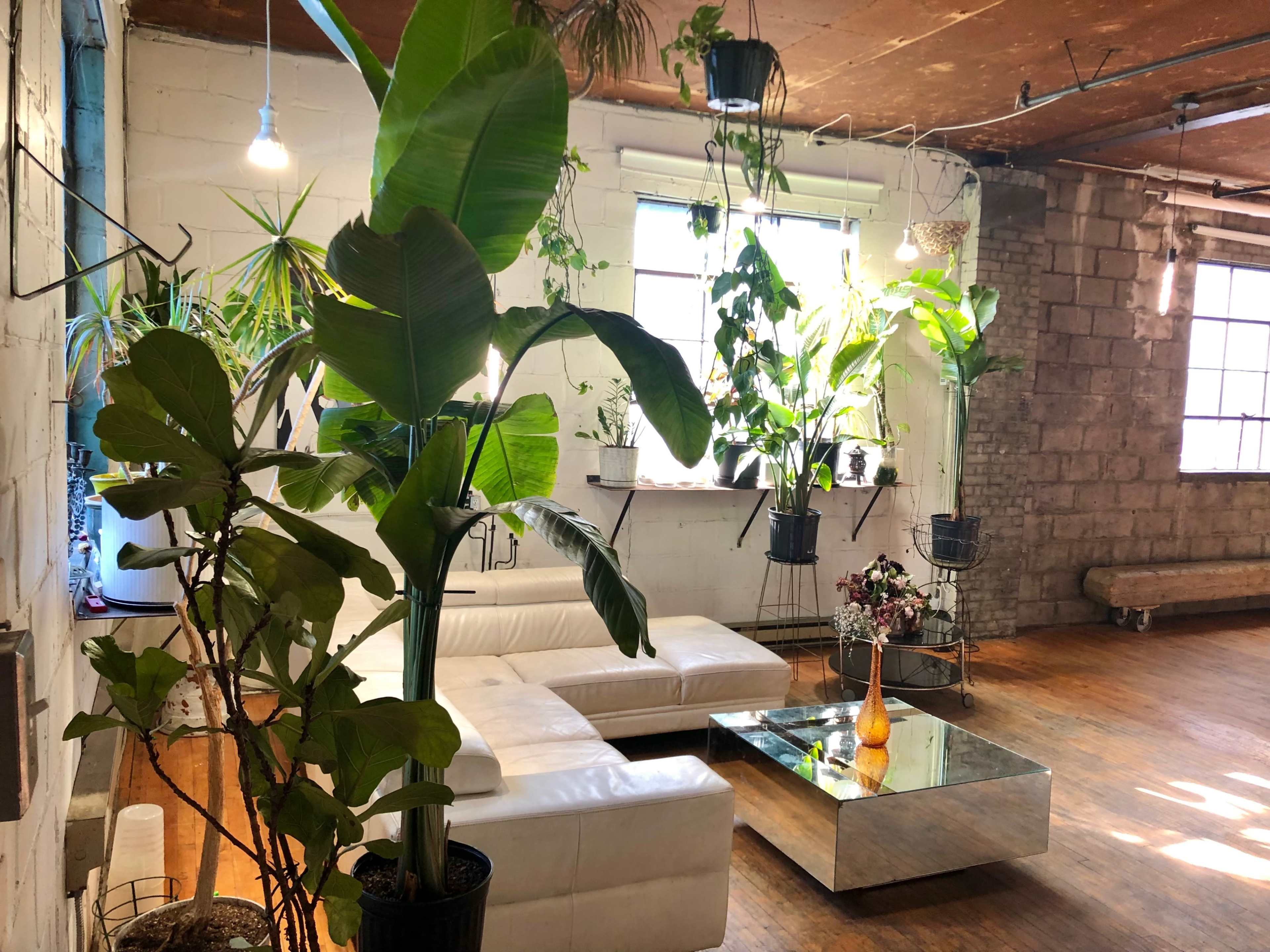 The image shows a bright, spacious room with a white leather sectional sofa, a mirrored coffee table, and numerous potted plants arranged near large windows.