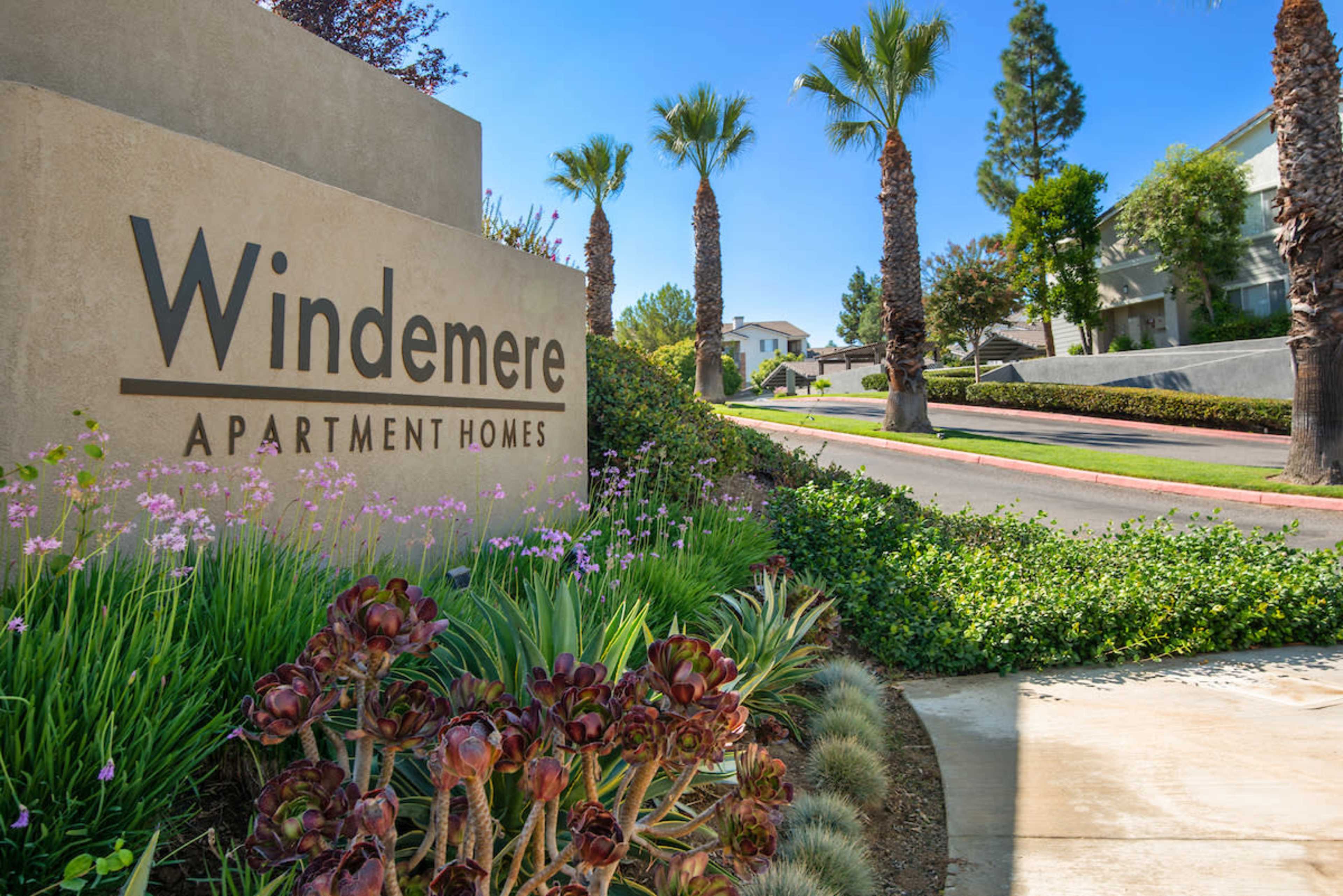 A sign for Windemere Apartment Homes is positioned near a landscaped entrance with palm trees and flowering plants lining the paved path.