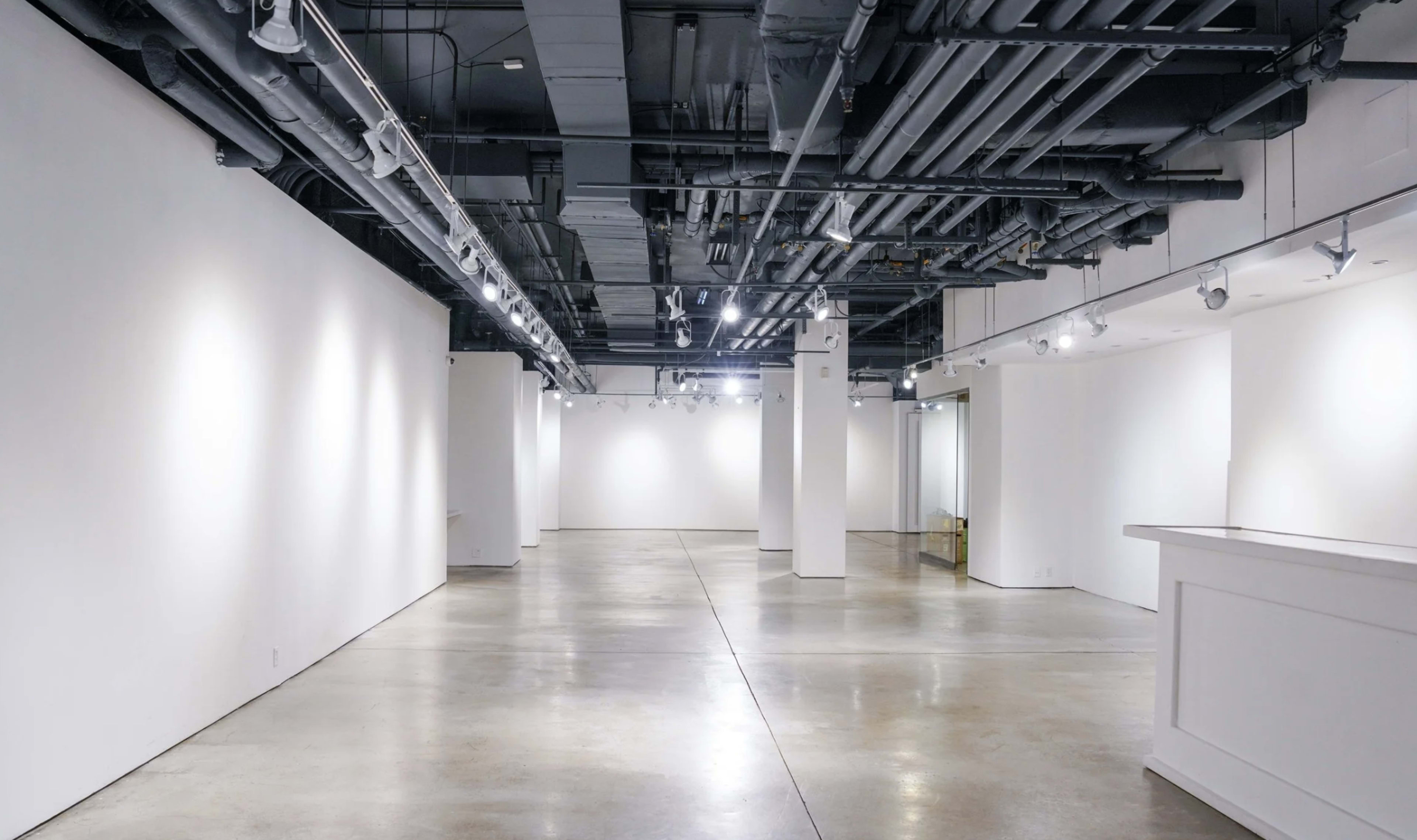 The image shows an empty art gallery with white walls, polished concrete floors, and overhead lighting.