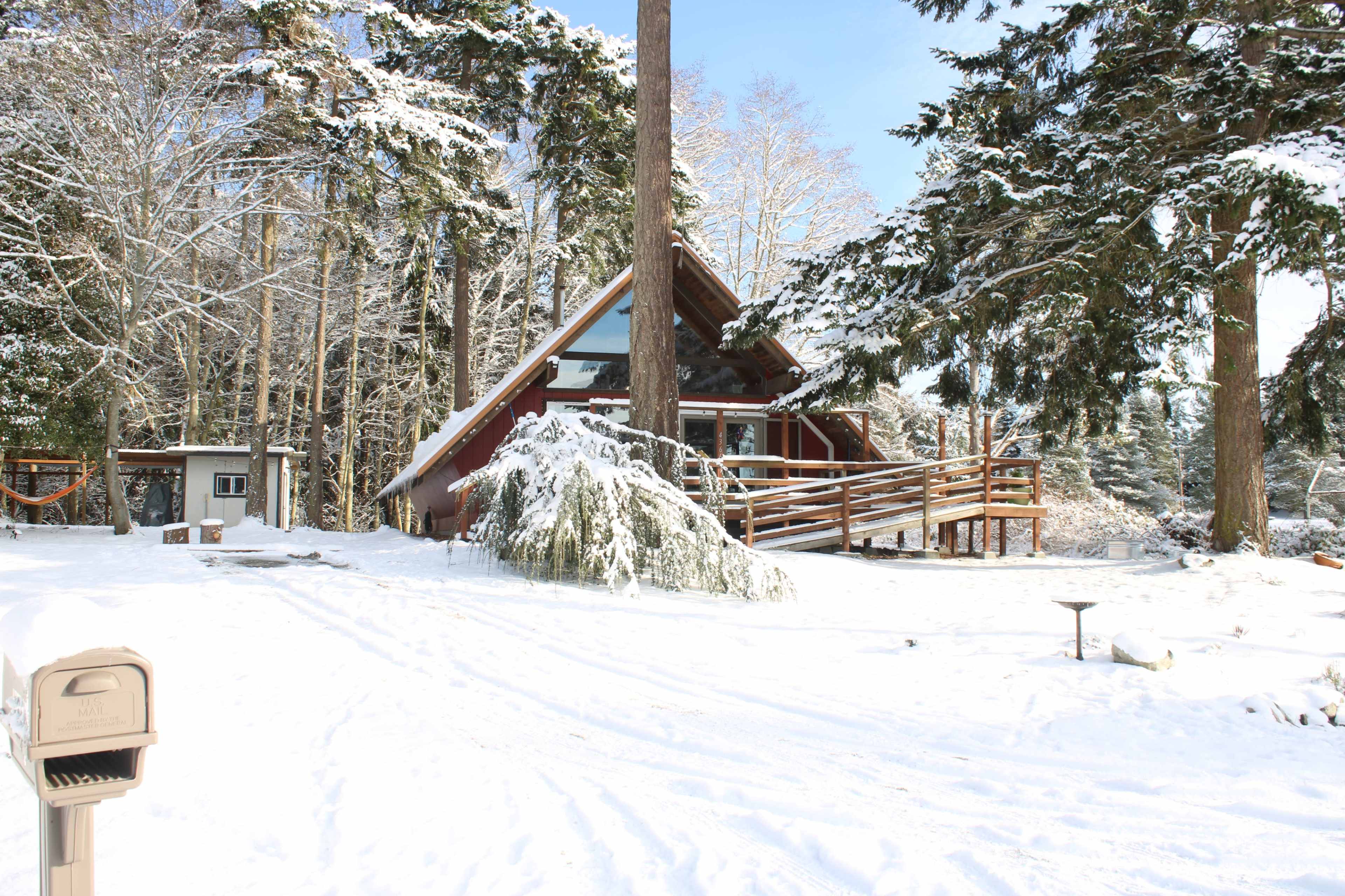 A modern wooden cabin with a sloped roof is surrounded by snow-covered trees and a path leading to a mailbox.
