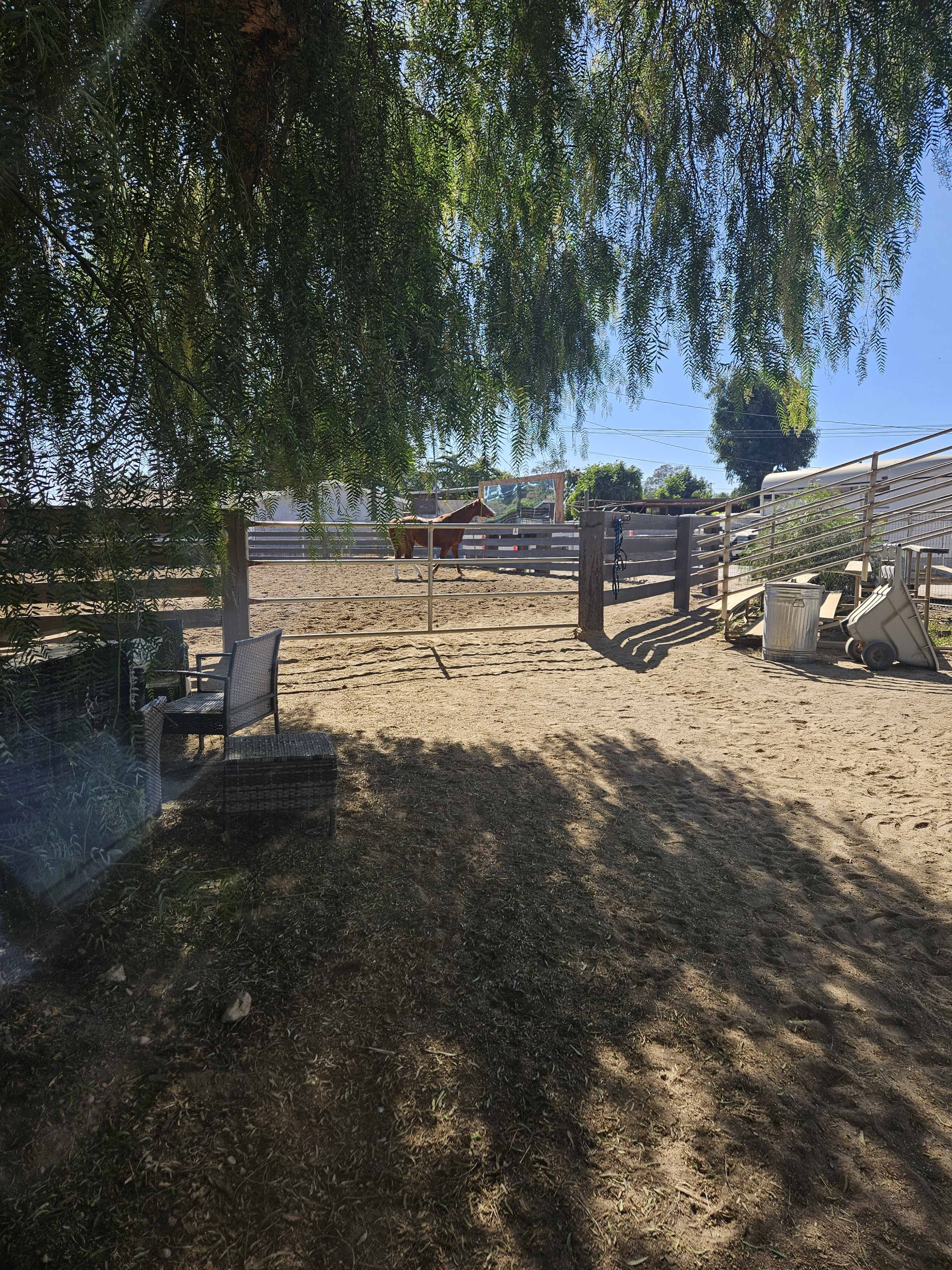 A sunny equestrian area with a horse in the distance, surrounded by fences and shaded by trees.