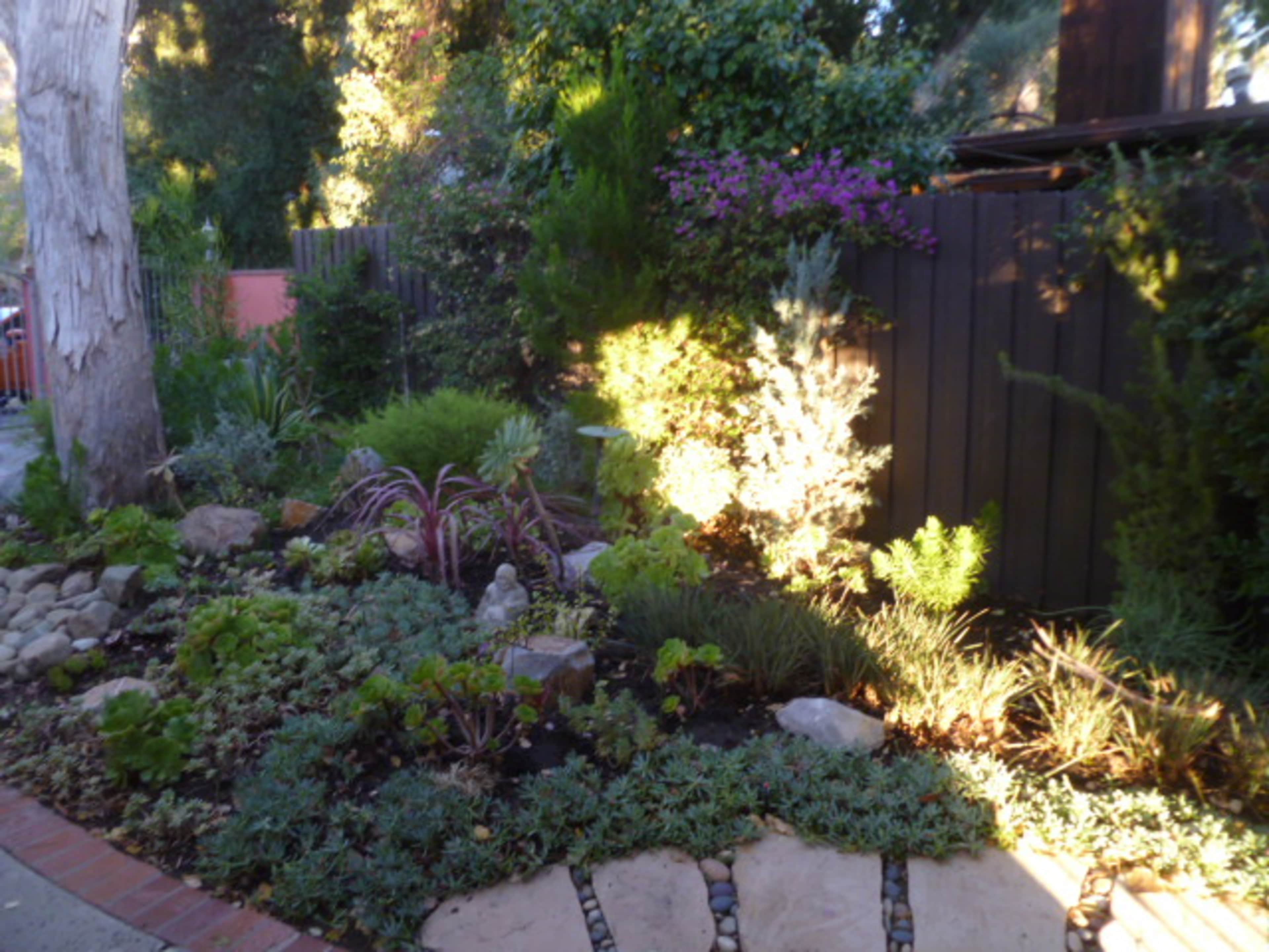 A landscaped garden with various plants, rocks, and stone pathways, bordered by a wooden fence and trees.