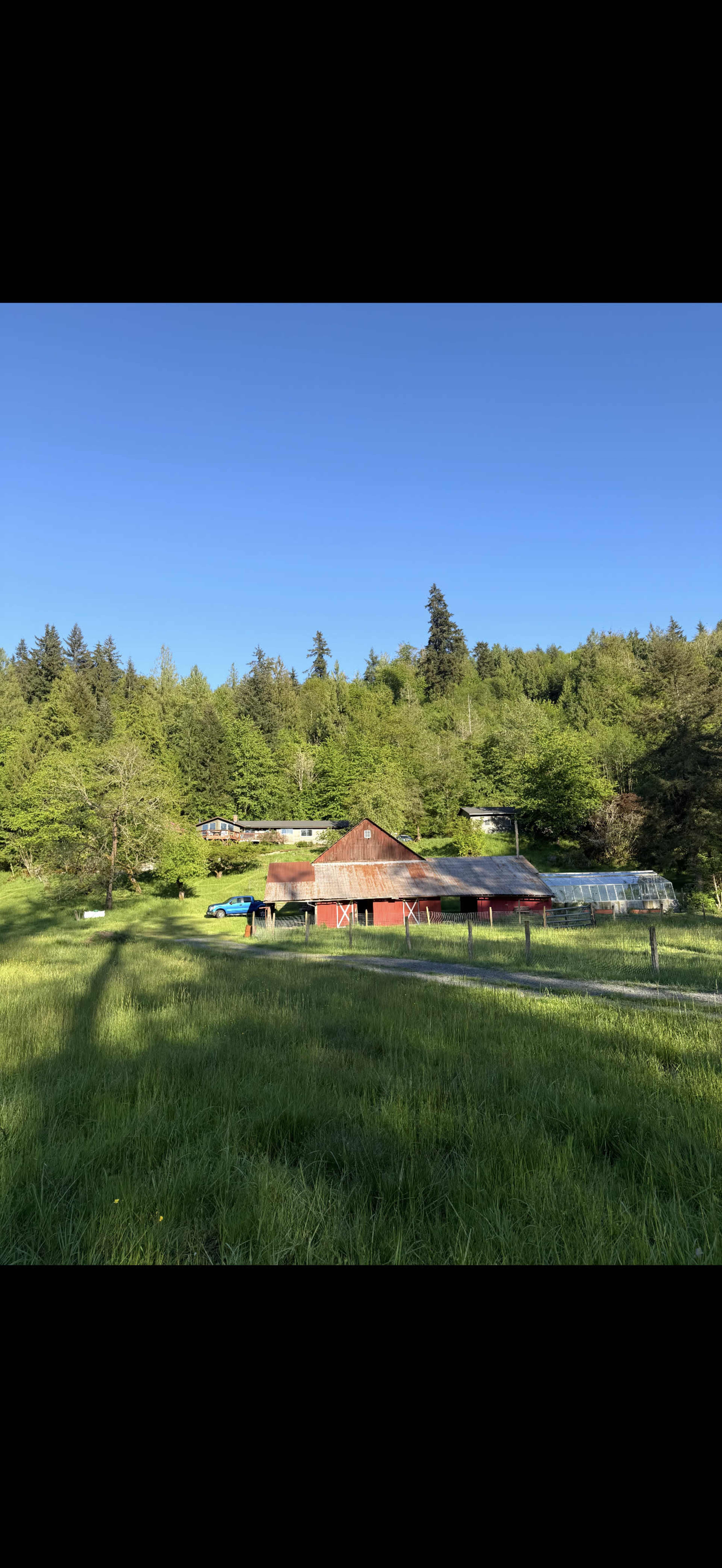 A red barn and outbuildings are situated on a green, grassy area, surrounded by dense trees and clear blue skies.