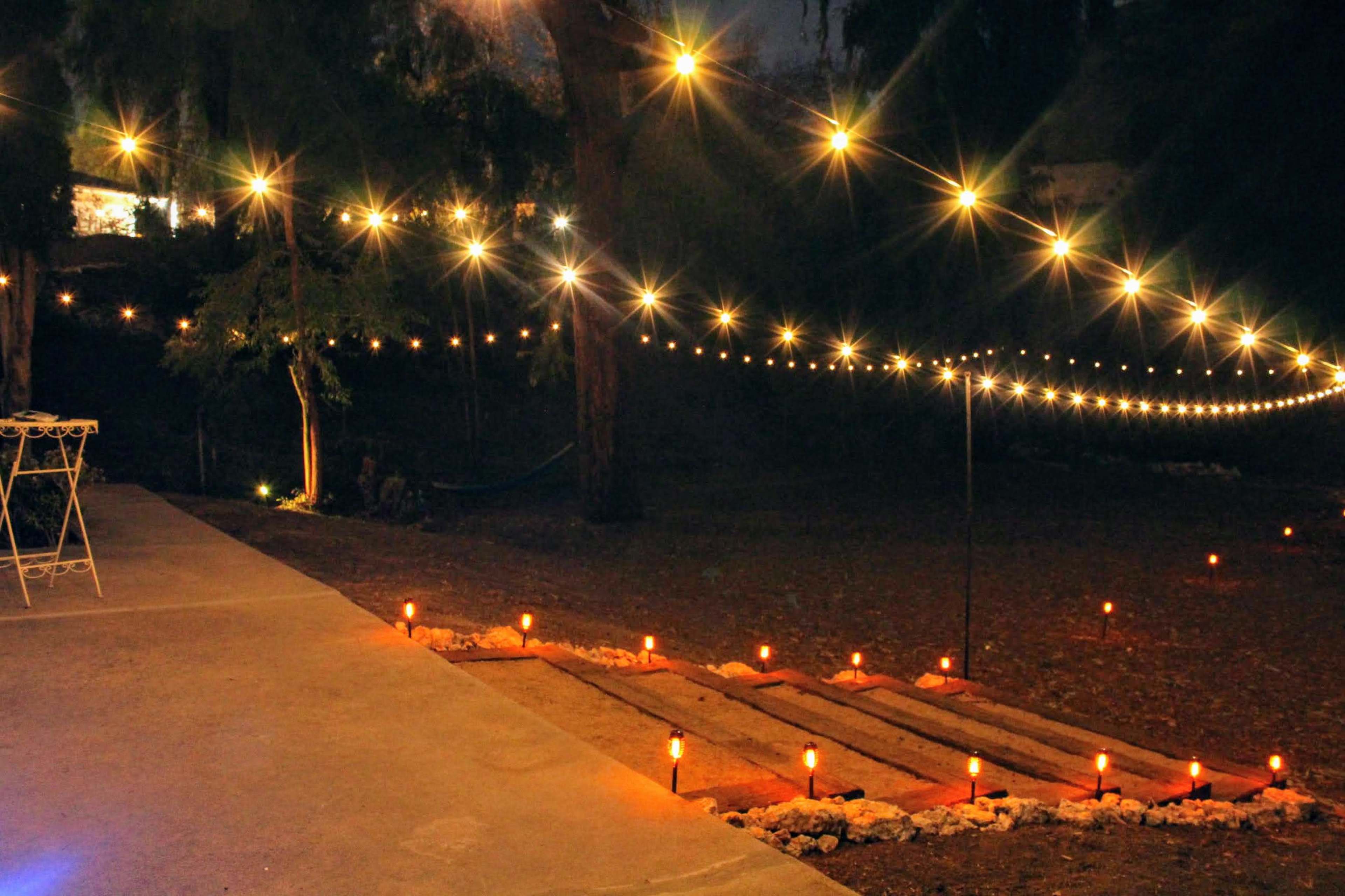 Enchanted "Forest" Backyard Venue Image in Woodland Hills, Woodland Hills, CA