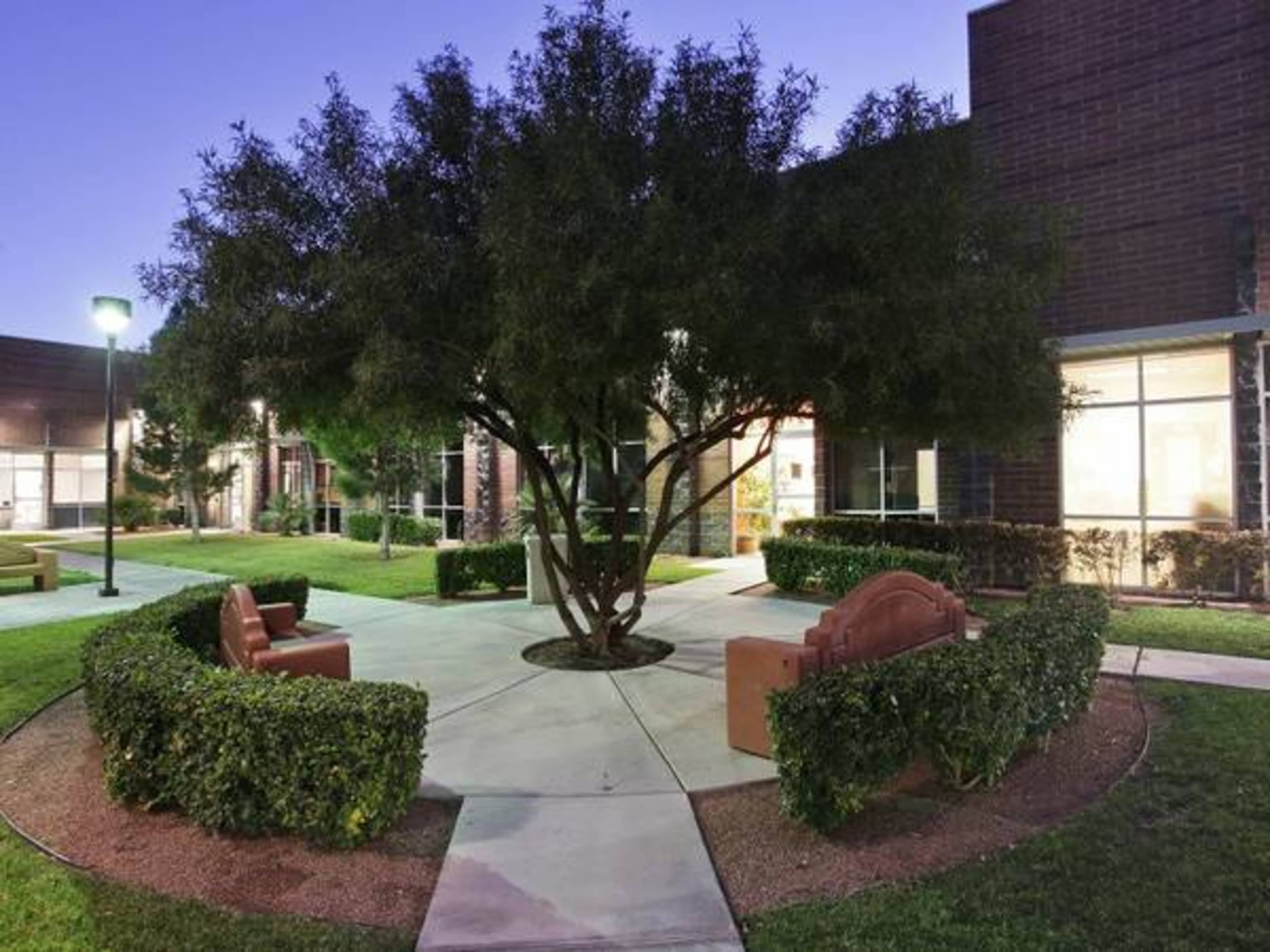 A landscaped courtyard features a large tree at its center surrounded by benches and pathways, illuminated by soft lighting.