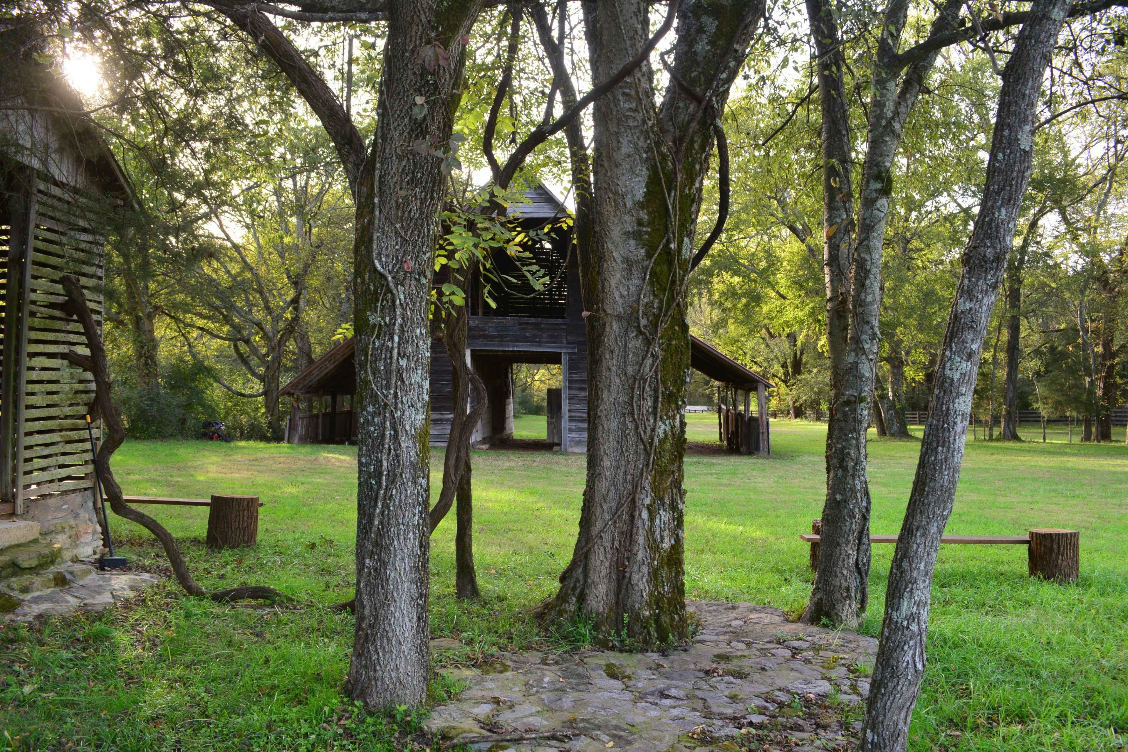 The image shows a grassy area with several trees and an old wooden structure partially visible between the trunks.