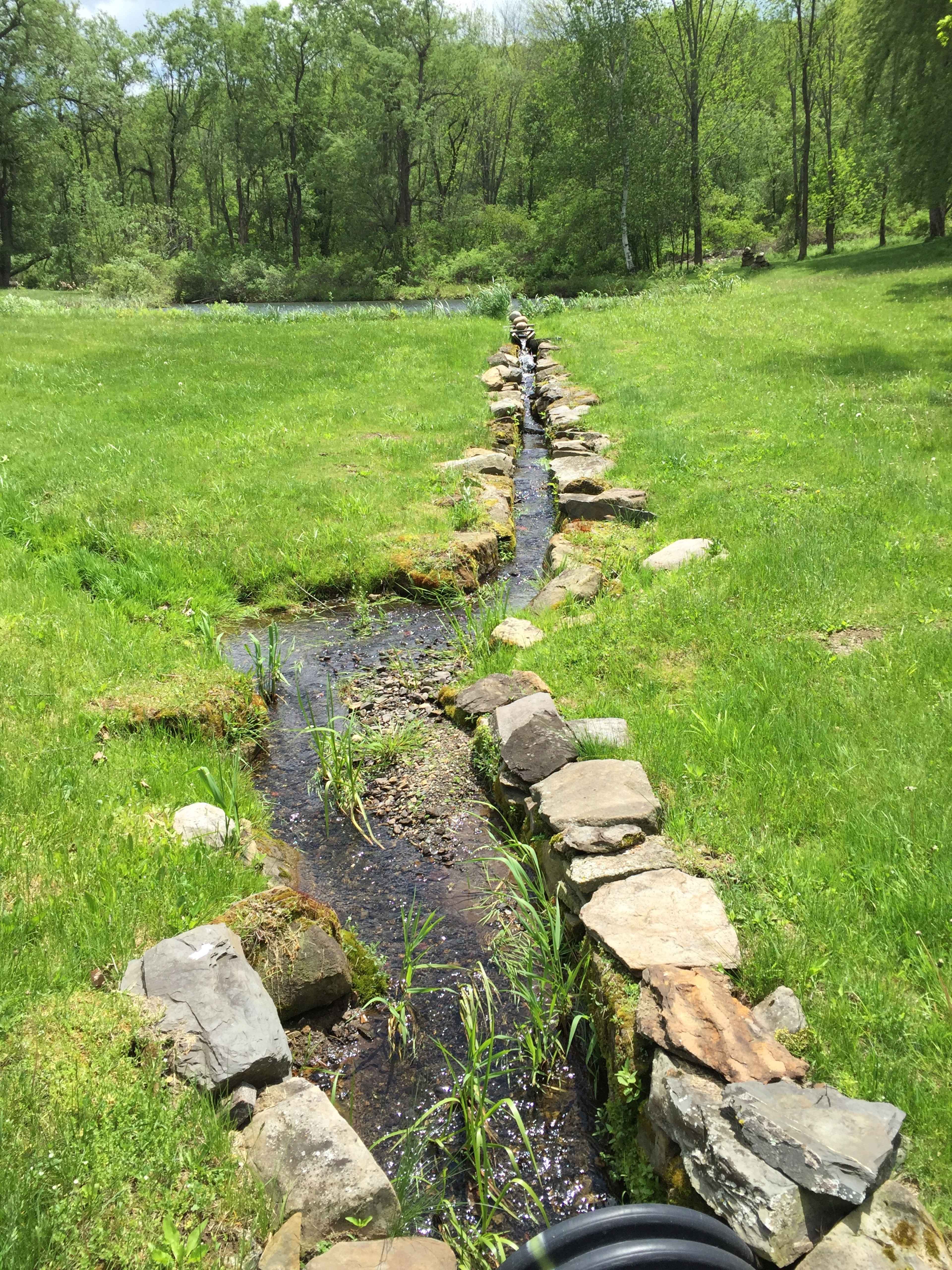 A narrow stream lined with stones flows through a grassy area surrounded by trees.