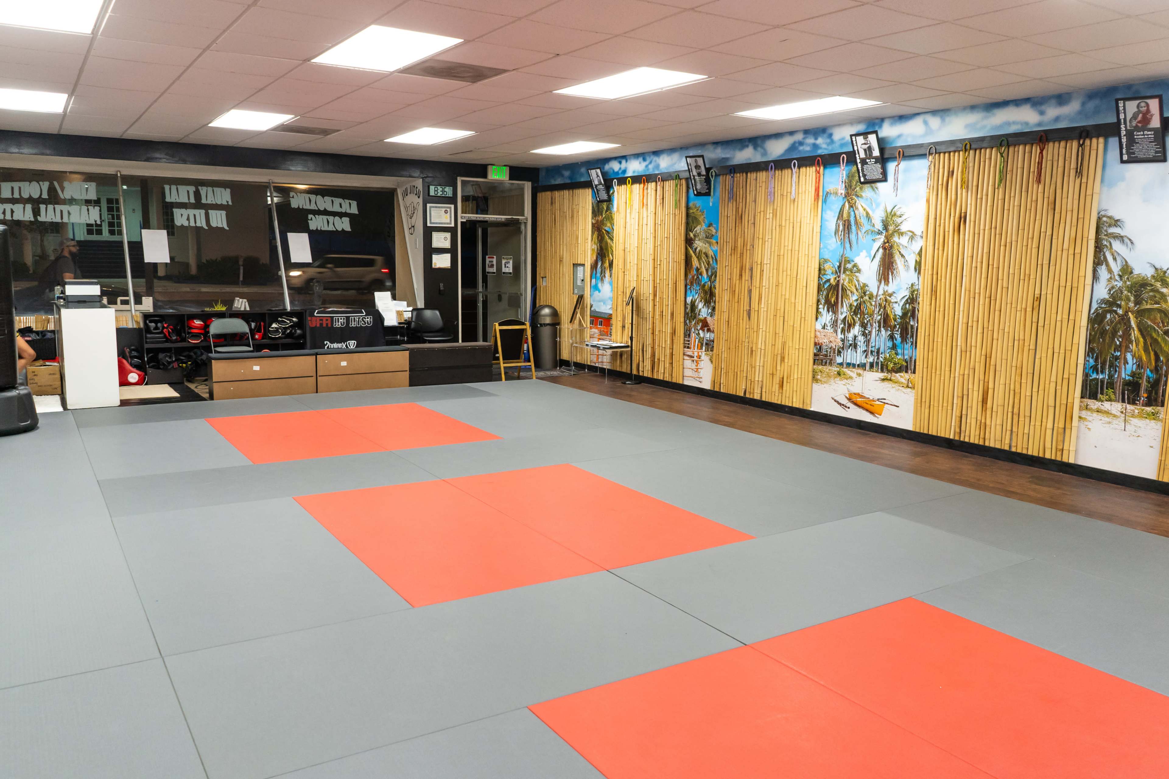 The image shows a martial arts training area with gray mats and two red mats, featuring a tropical beach mural on the walls.