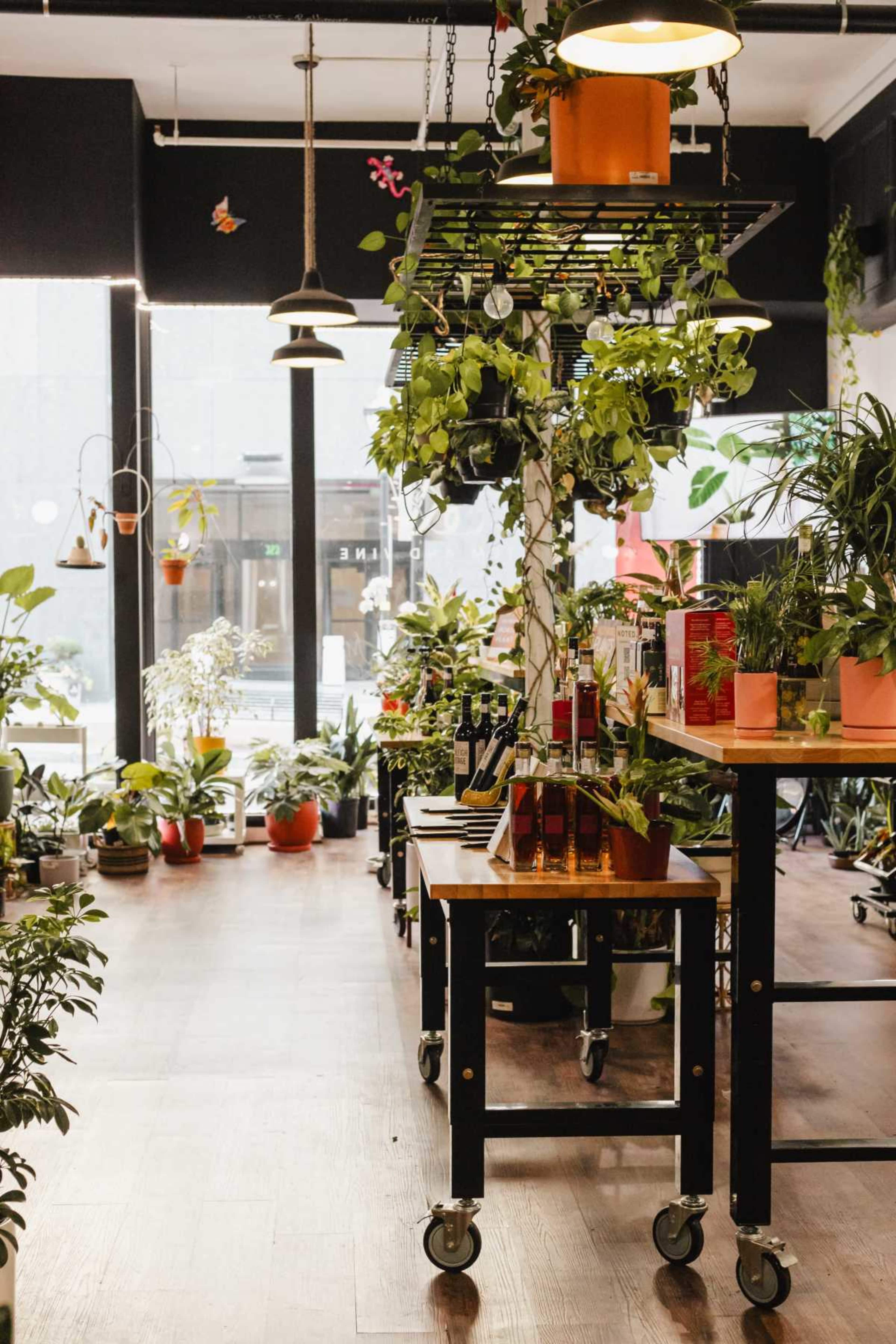 Stem & Vine is a haven for those seeking balance, rejuvenation, and a deeper connection with their well-being. Image in Midtown, Baltimore, MD
