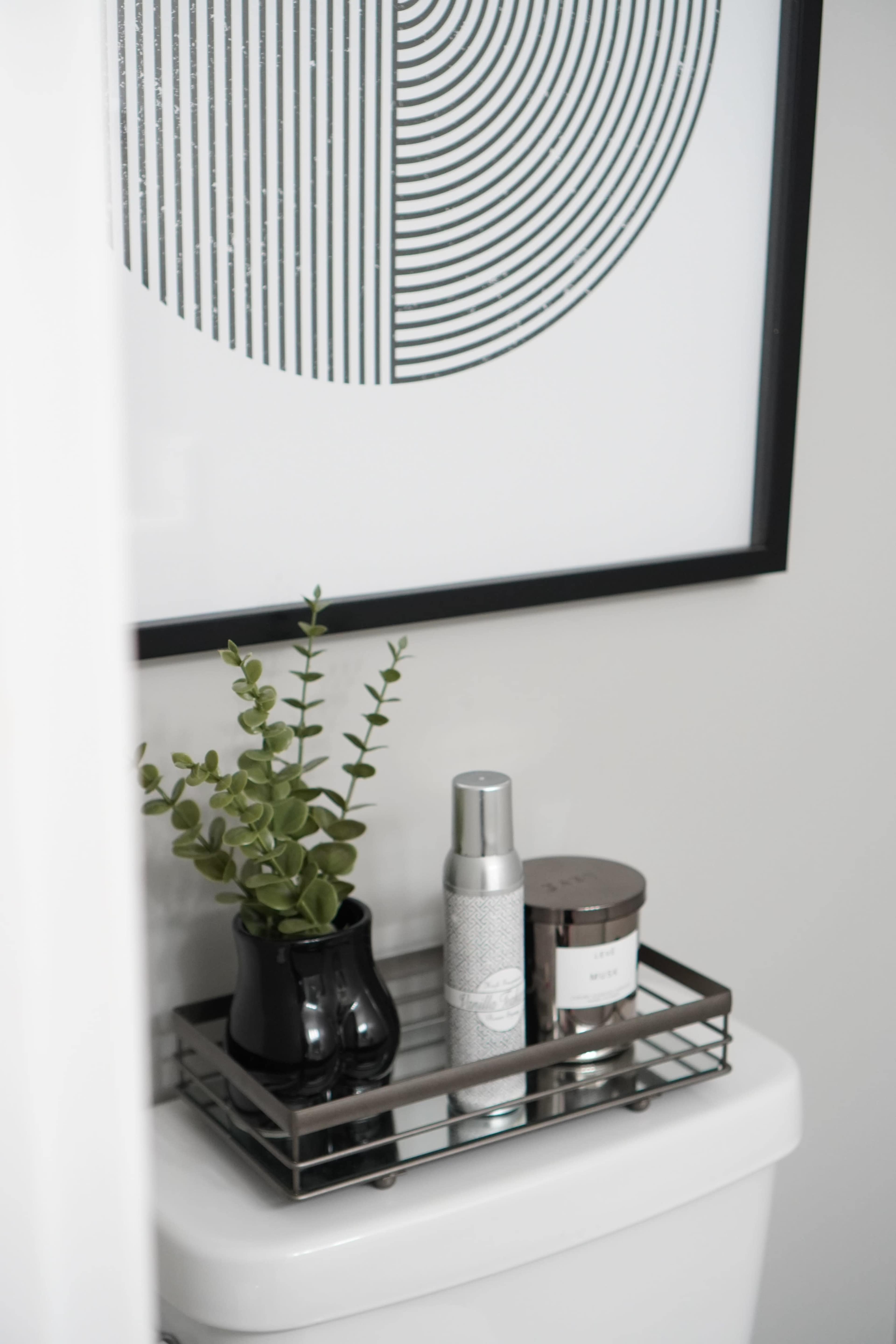 A black planter with a green plant, a silver spray bottle, and a decorative jar are arranged on a metal tray atop a white toilet, next to a framed geometric print on the wall.
