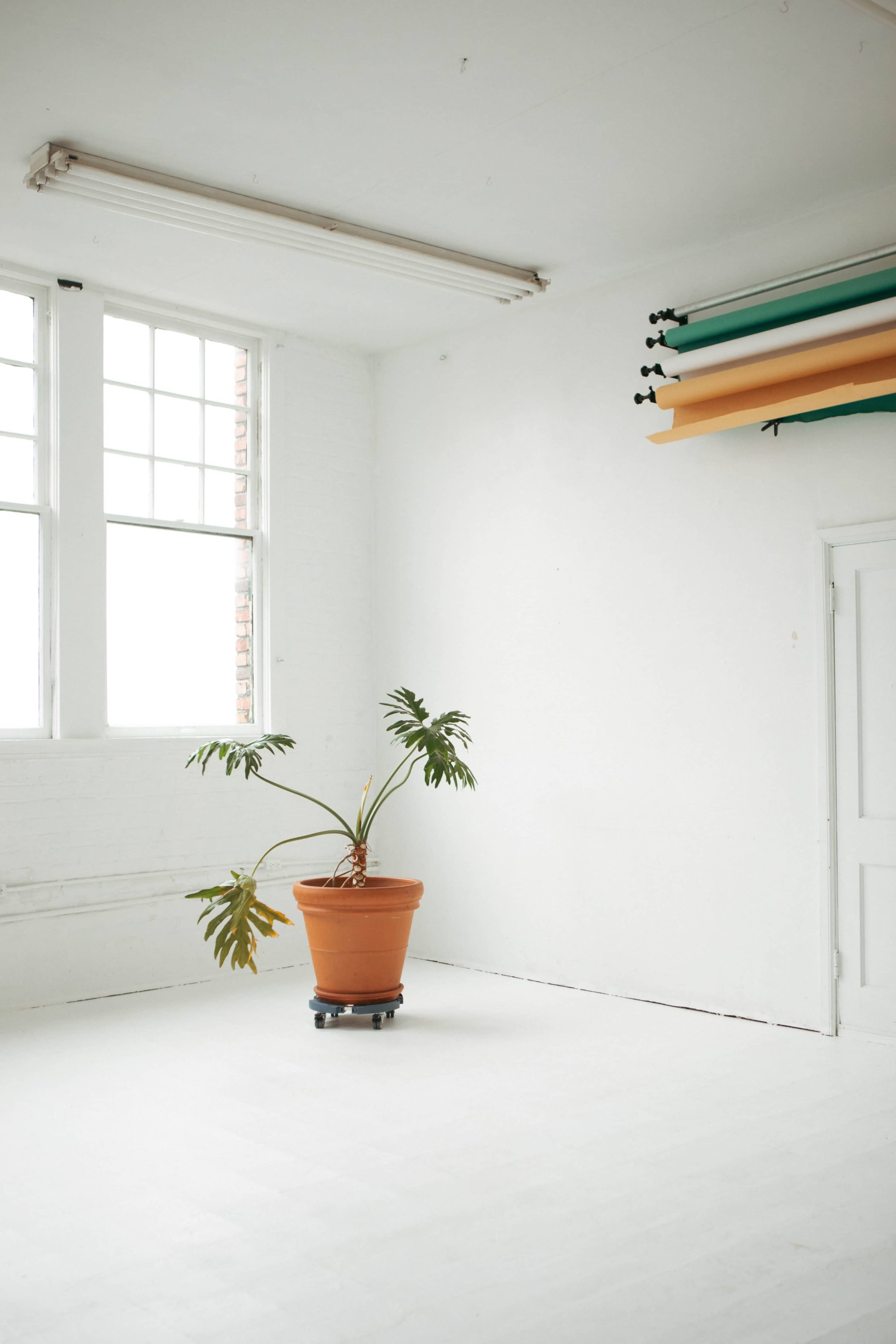 NEW Natural Light Studio + Creative Space Image in New Tacoma, Tacoma, WA