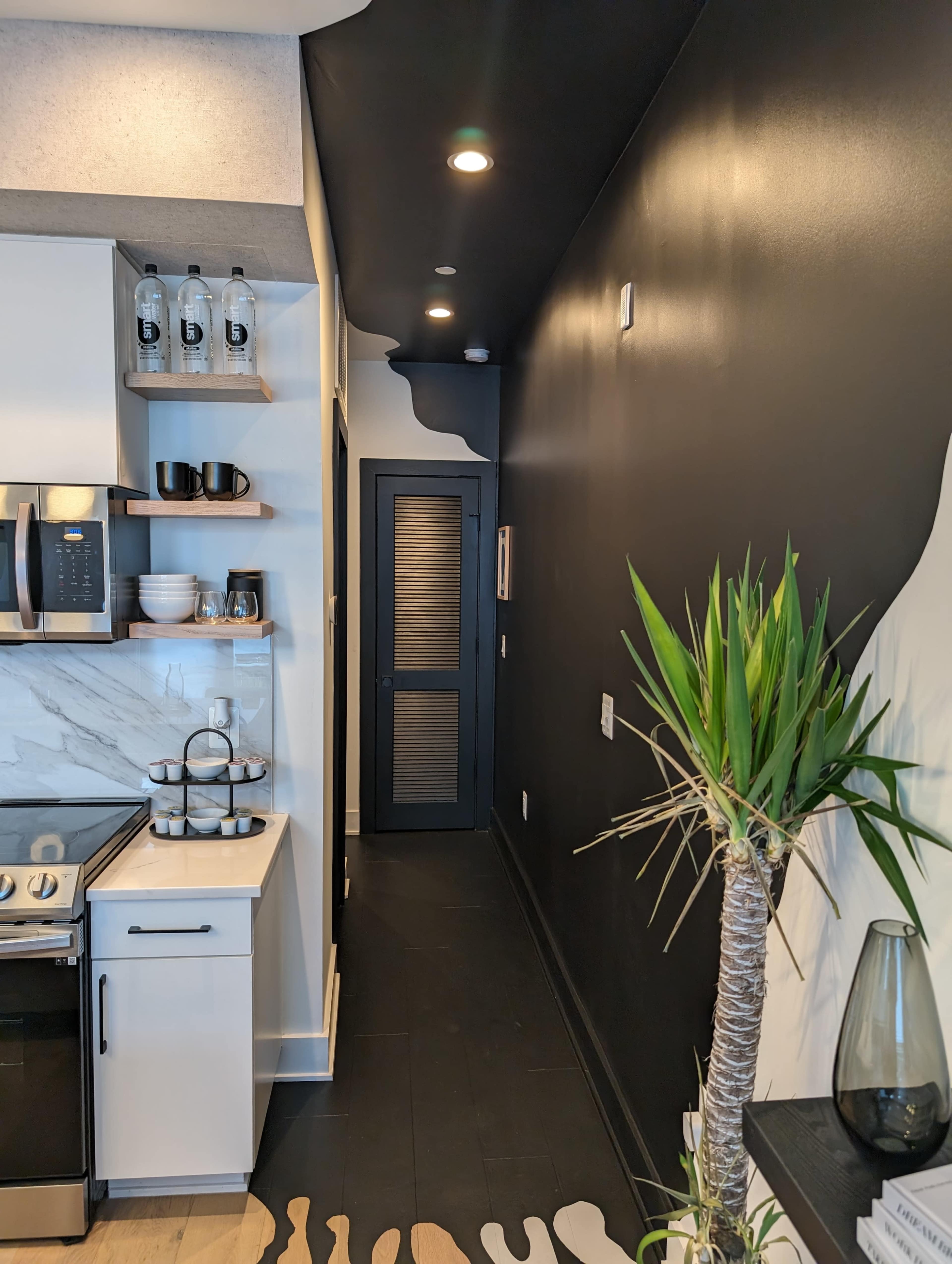 The image shows a narrow hallway with black walls, a potted plant, and visible fixtures including a door and wall-mounted shelves in a modern kitchen setting.