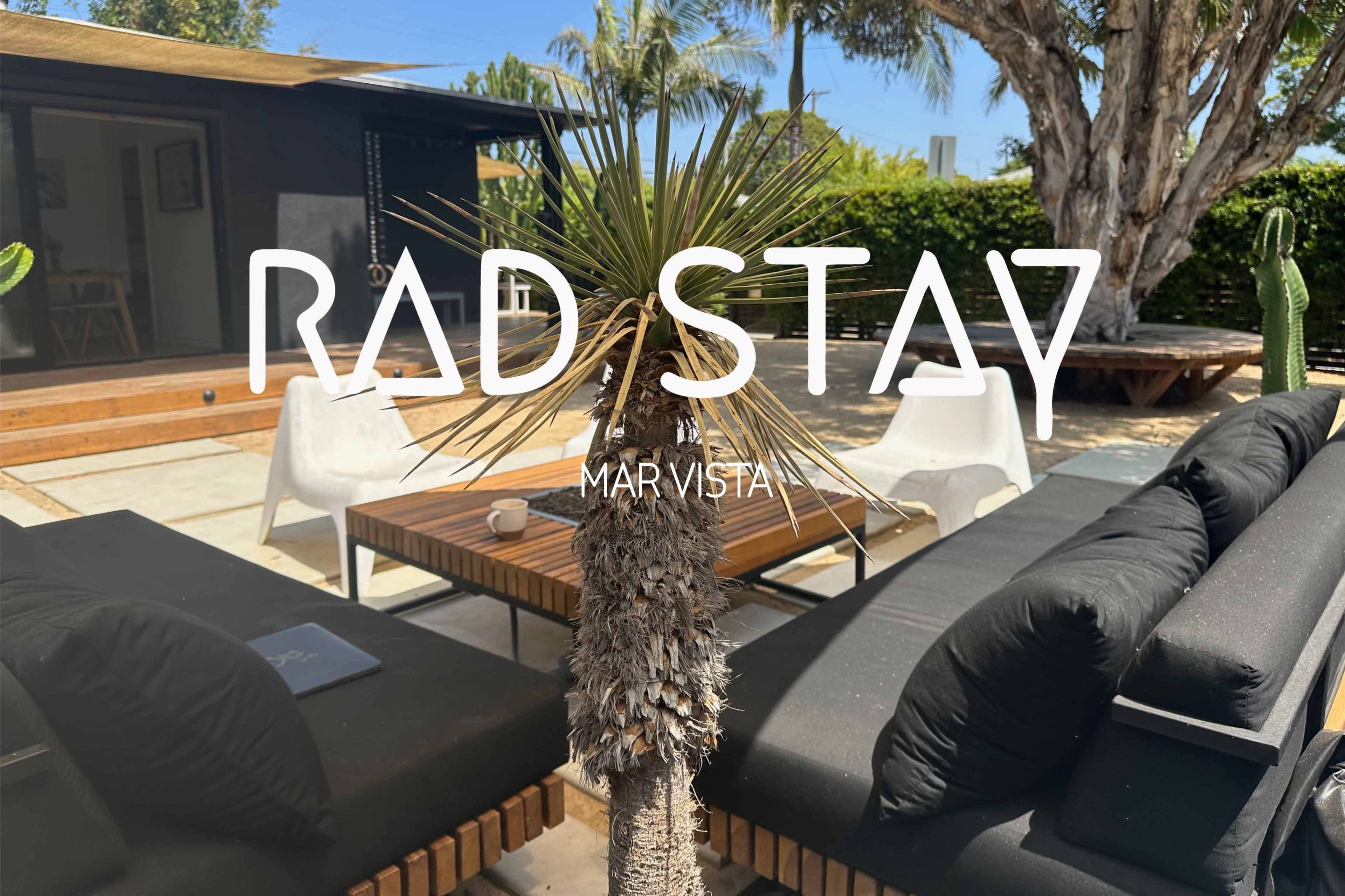 A modern outdoor lounge area features a palm tree, black furniture, and a wooden deck surrounded by lush greenery.