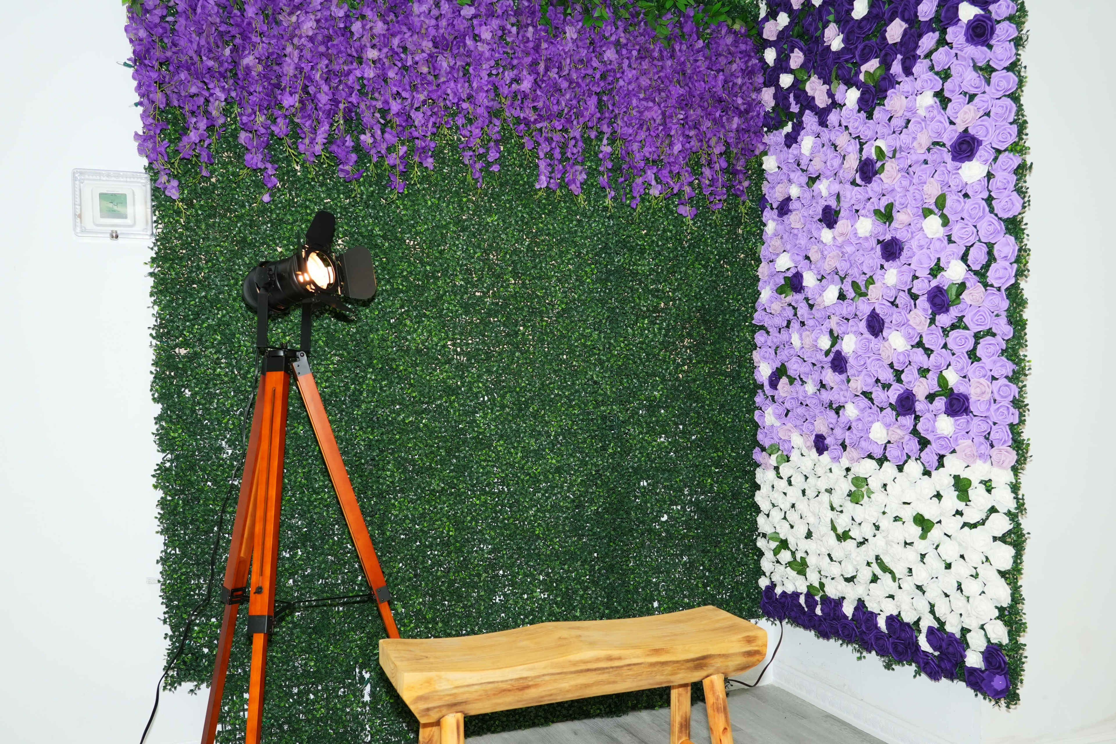 A corner of a room with a green wall covered in artificial foliage, accented by a purple and white flower display, a wooden bench, and a spotlight on a tripod.