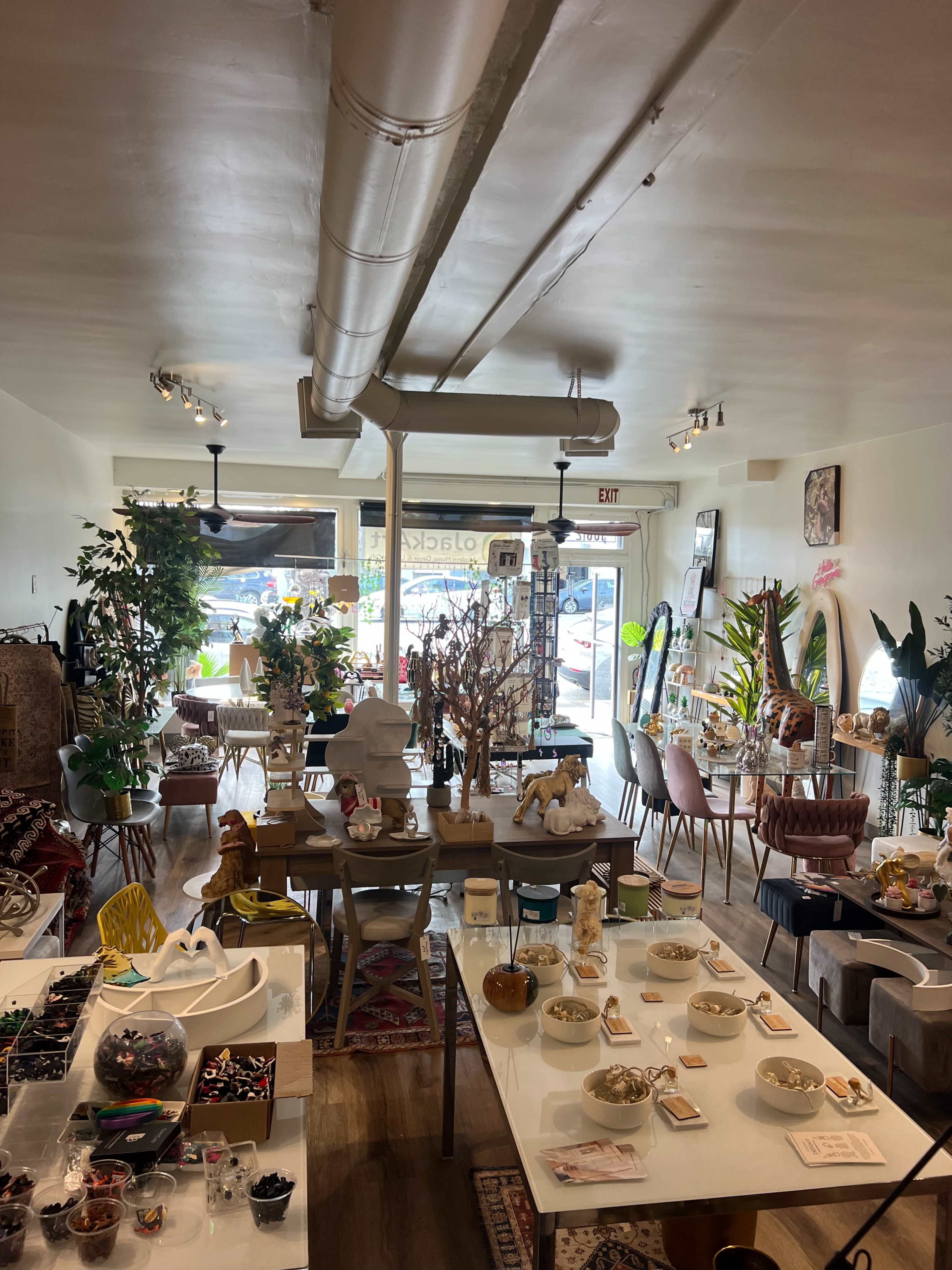 The image shows a bright and inviting boutique filled with various home decor items, plants, and display tables arranged with decorative objects.