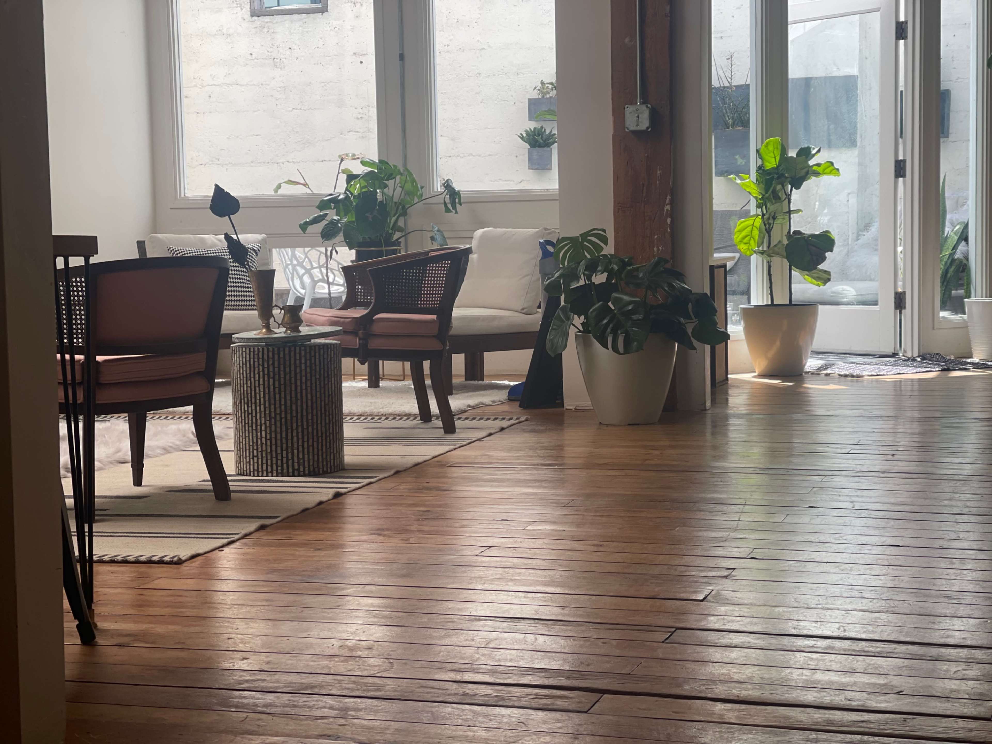A light-filled interior space with wooden floors, showcasing two chairs, a small table, and several plants beside large windows.