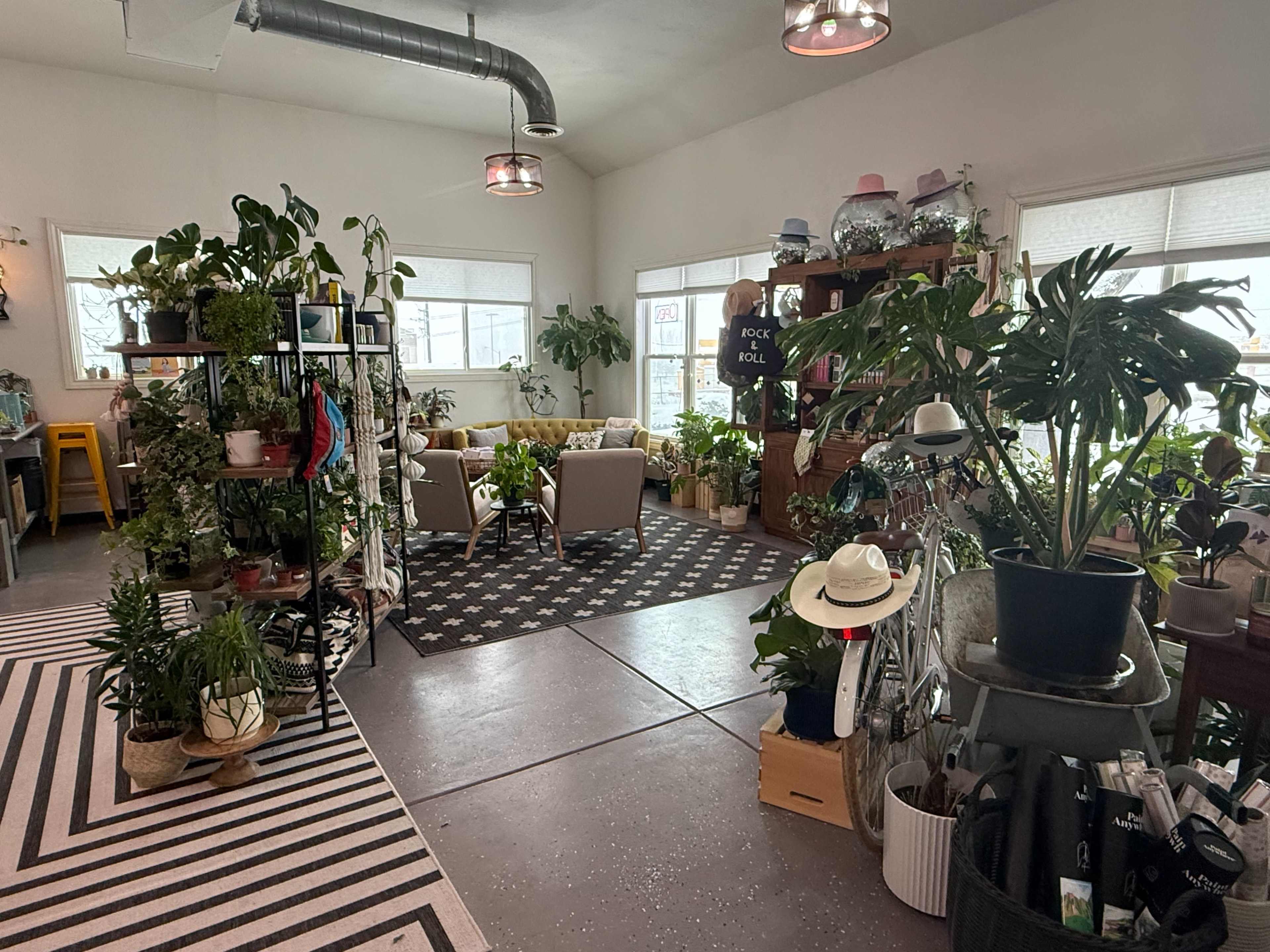 Lush Green Retail Shop With Modern and Cozy Vibes Image in Green Mountainside, Lakewood, CO