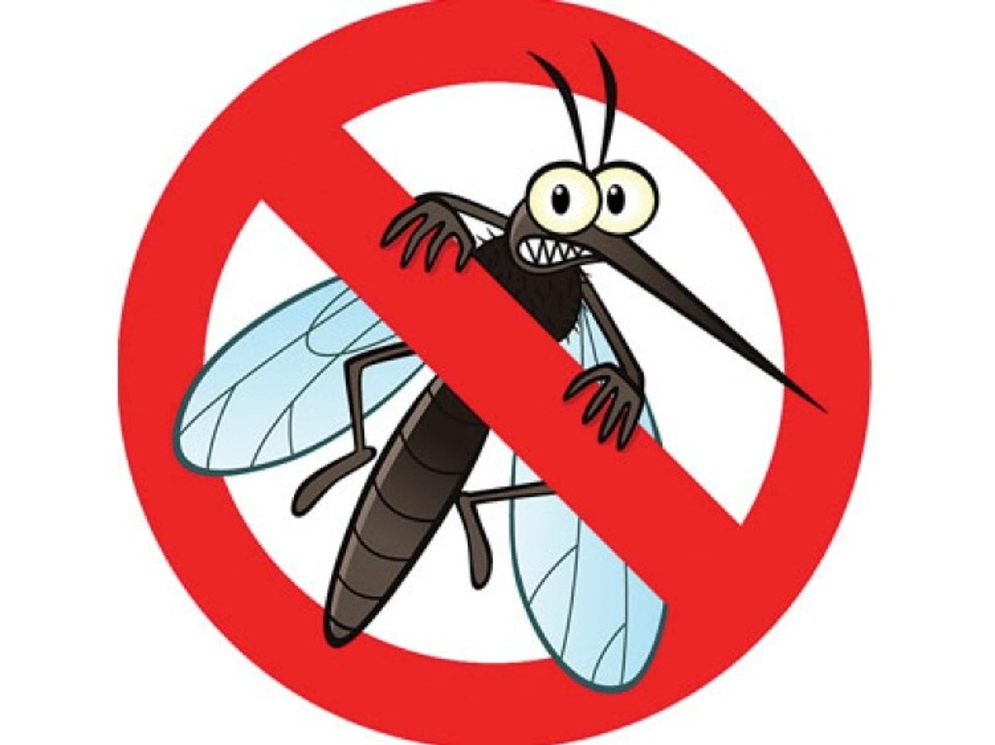 Pool Area Insect Treatment