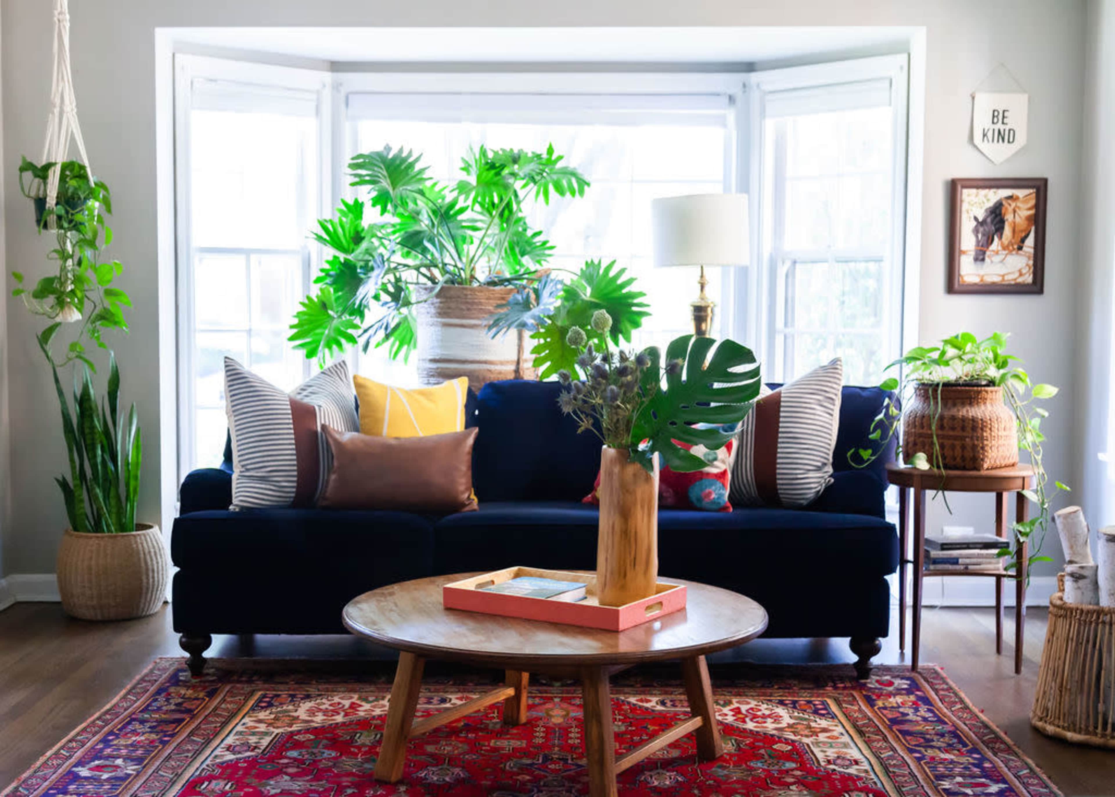 A cozy living room features a blue sofa adorned with colorful pillows, a circular wooden coffee table, and large plants framed by windows.