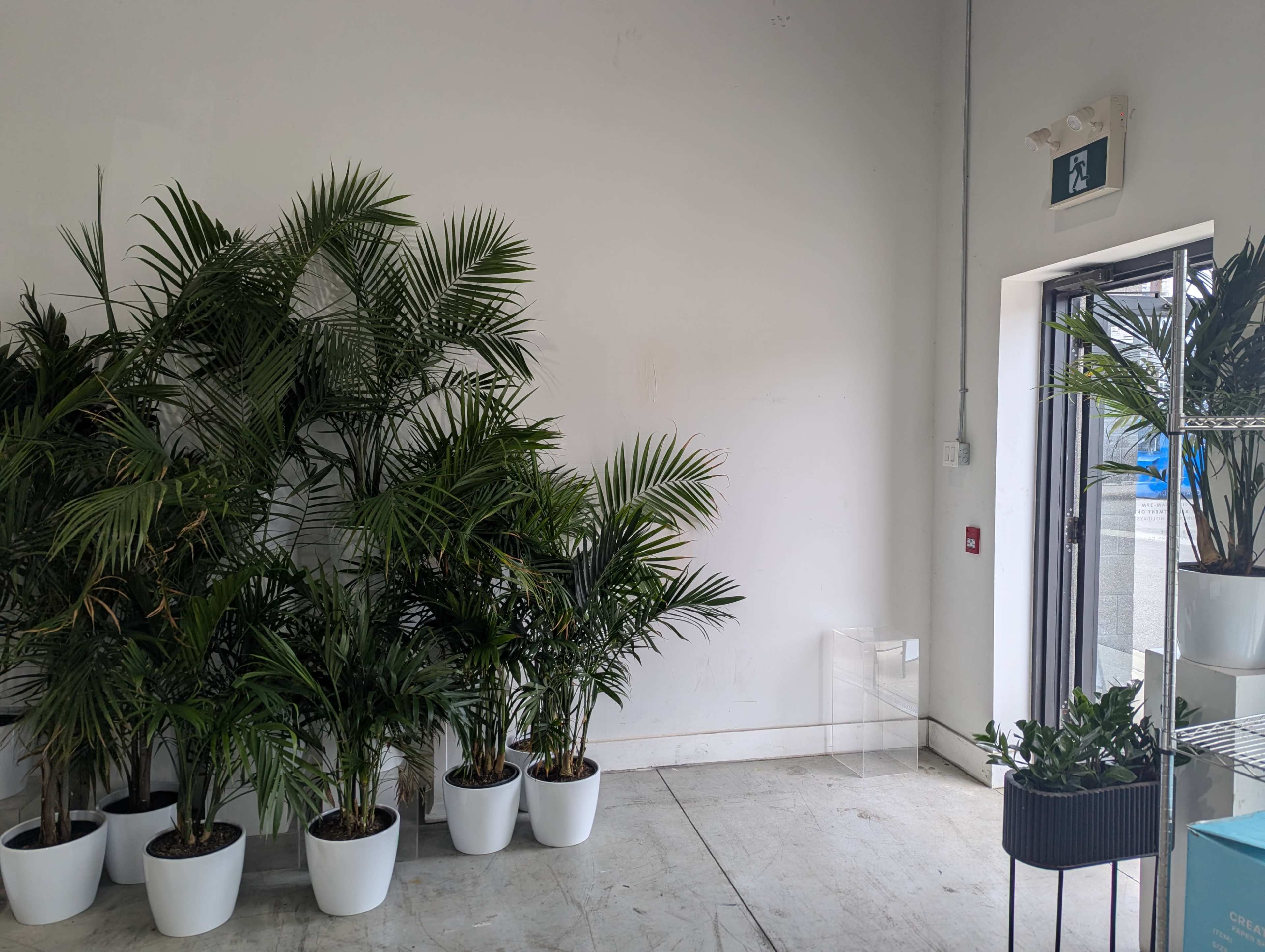 Large Floral Studio Warehouse in Midtown Toronto Image in Weston-Pelham Park, Toronto, ON