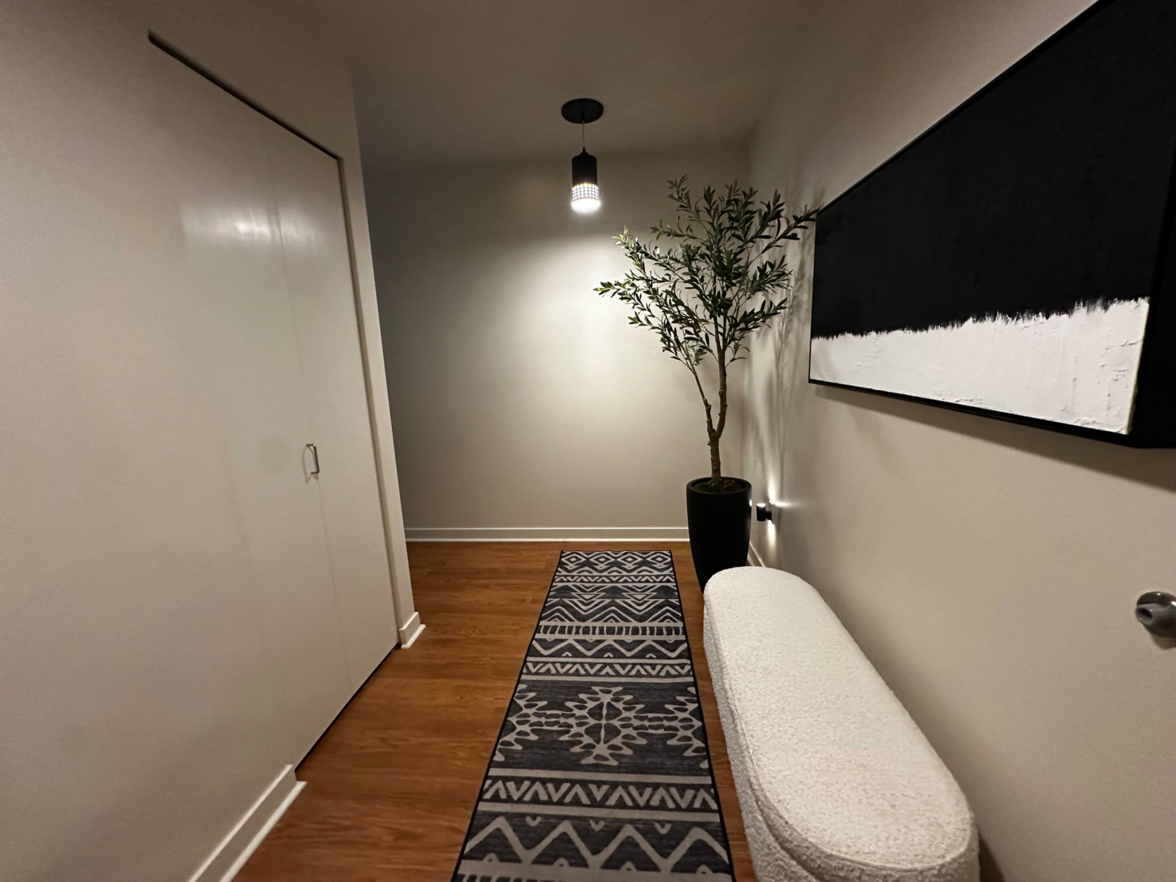 A narrow hallway features a plant in a black pot, a patterned rug on the floor, and an abstract painting hanging on the wall.