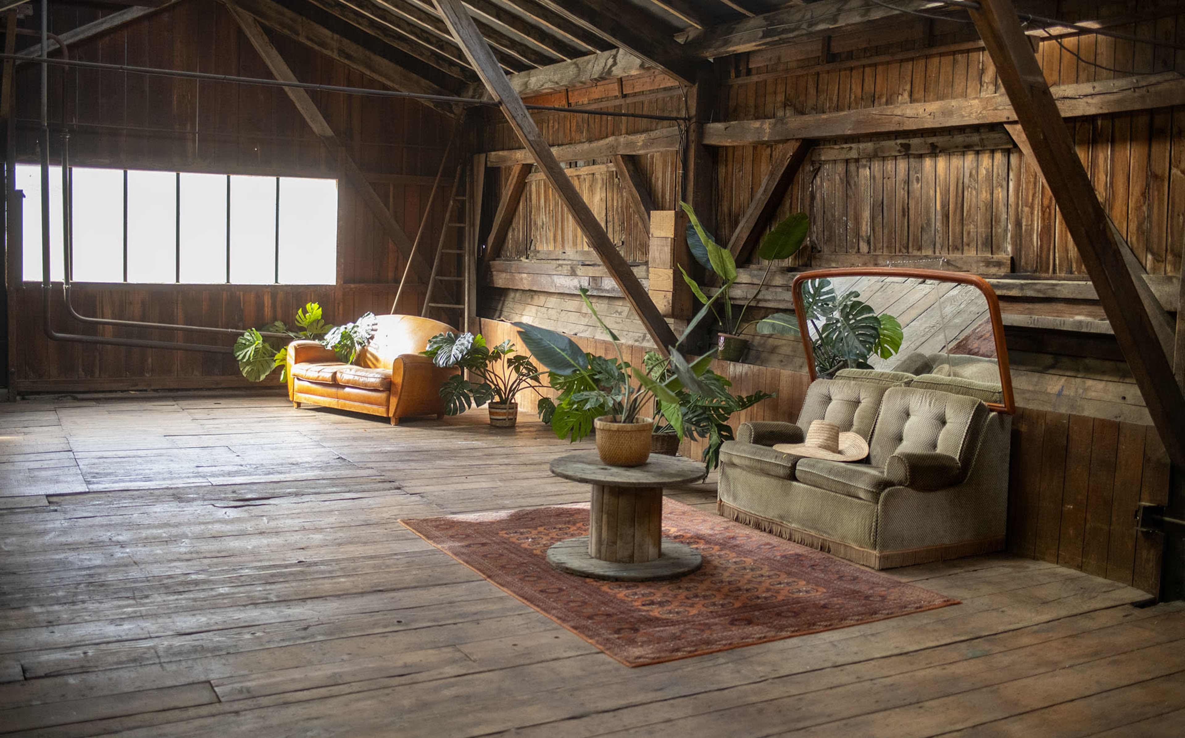 The image shows a spacious wooden loft with two sofas, a round coffee table, and several potted plants arranged on a wooden floor.