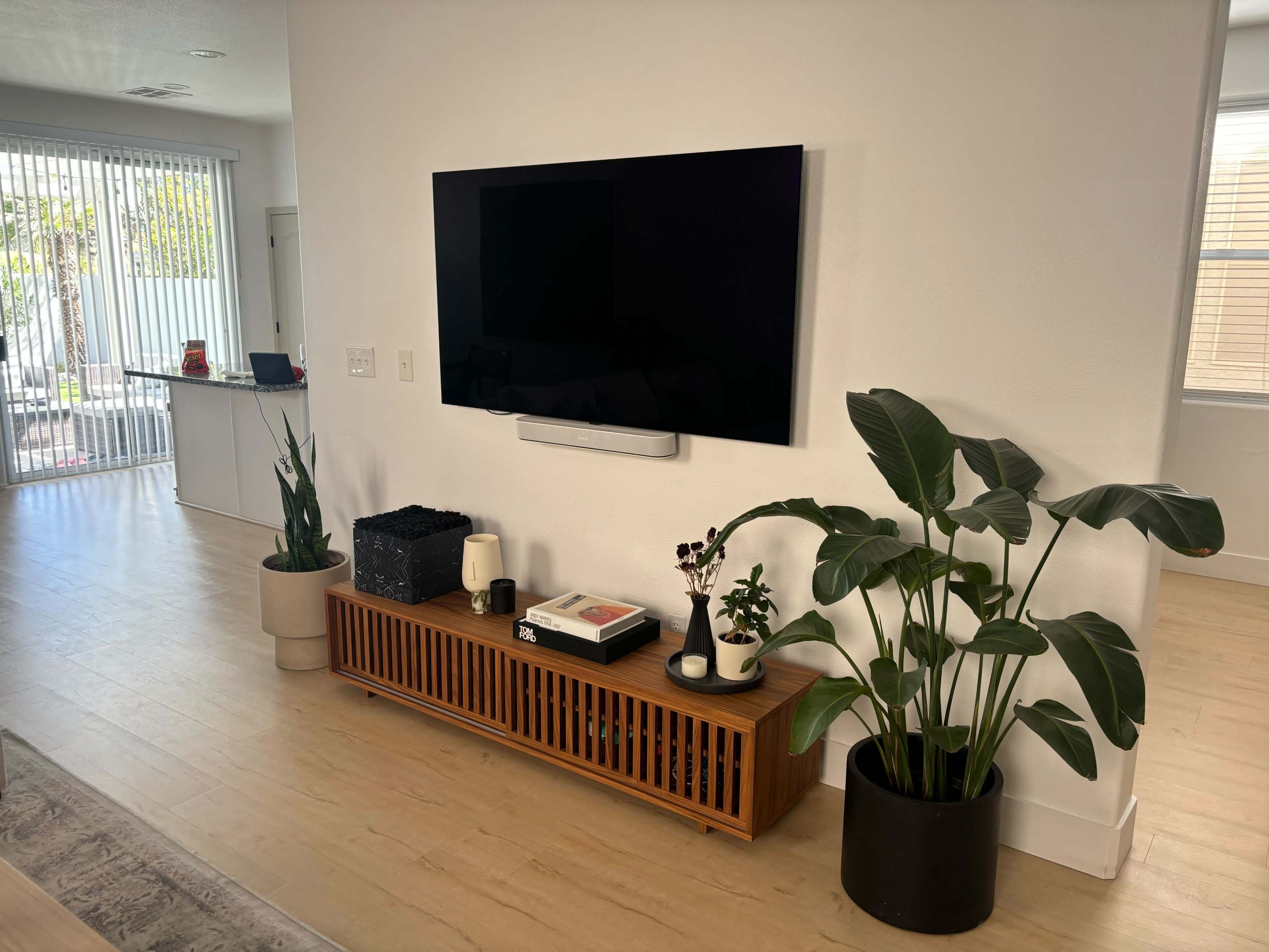 A modern living room features a wall-mounted television above a wooden console with decorative plants on either side.