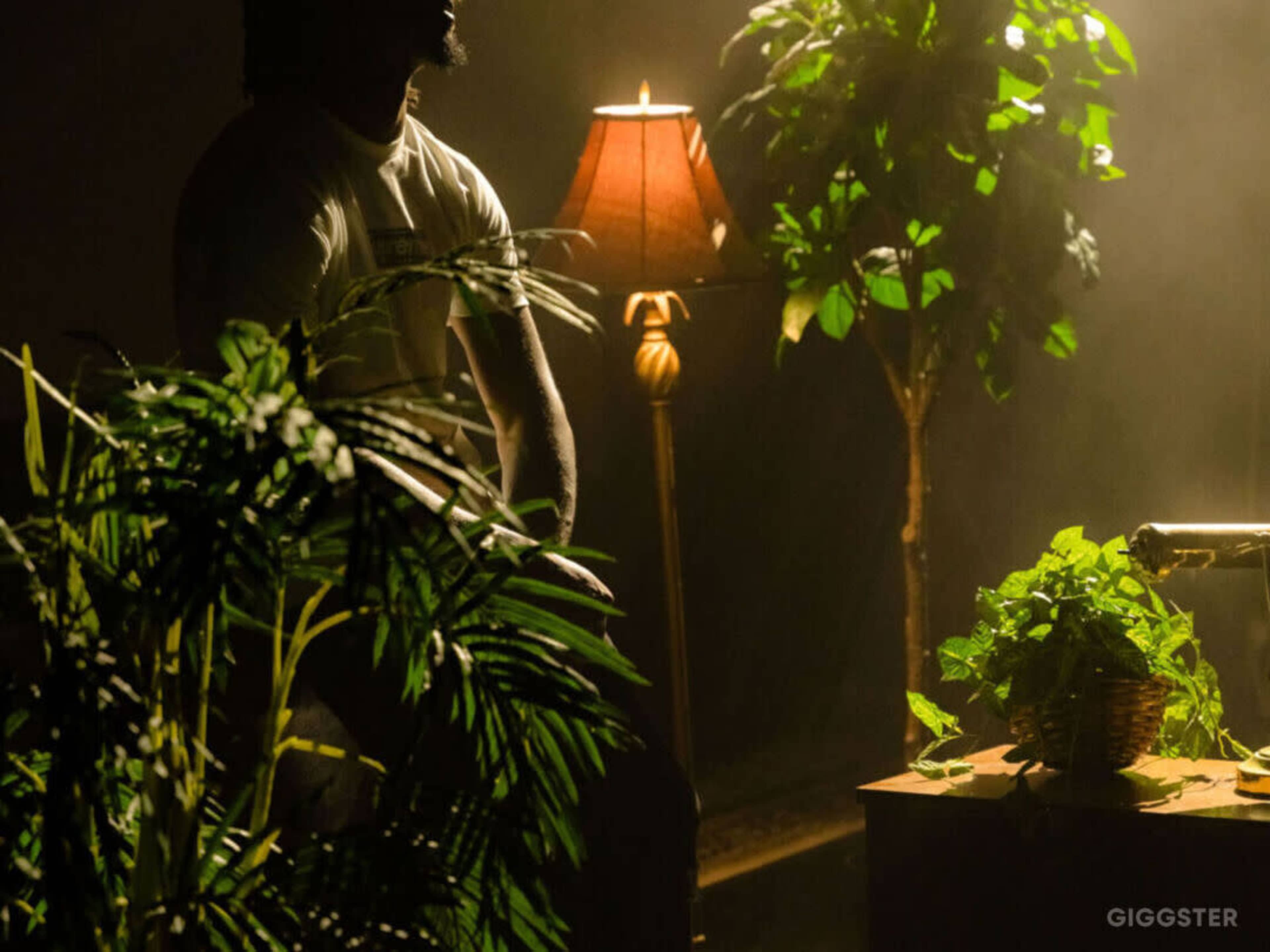 A person sits in a dimly lit room surrounded by plants and a lamp, with smoke creating a hazy atmosphere.