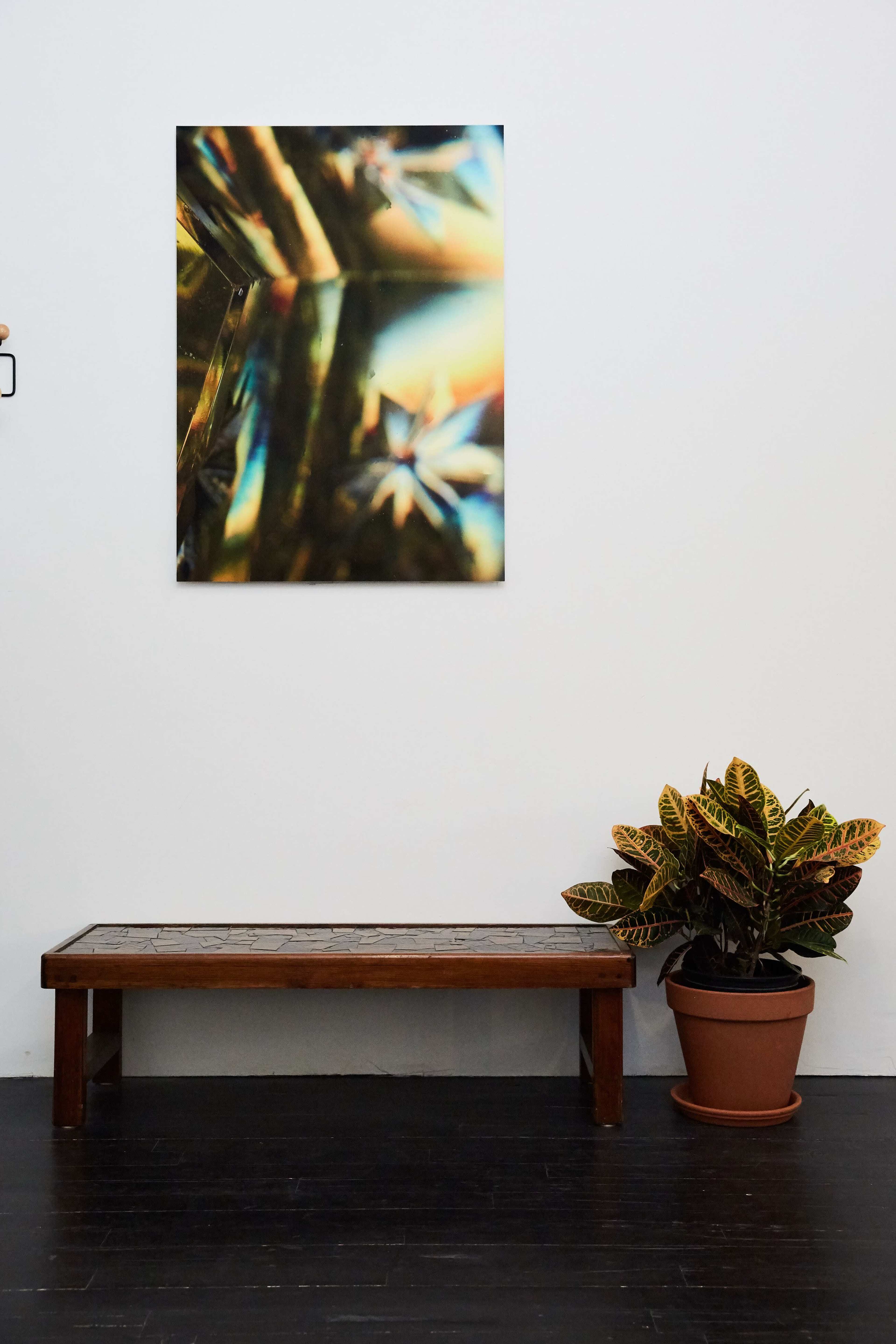 A wooden bench sits next to a potted plant on a dark floor, with a colorful artwork displayed on the white wall above.