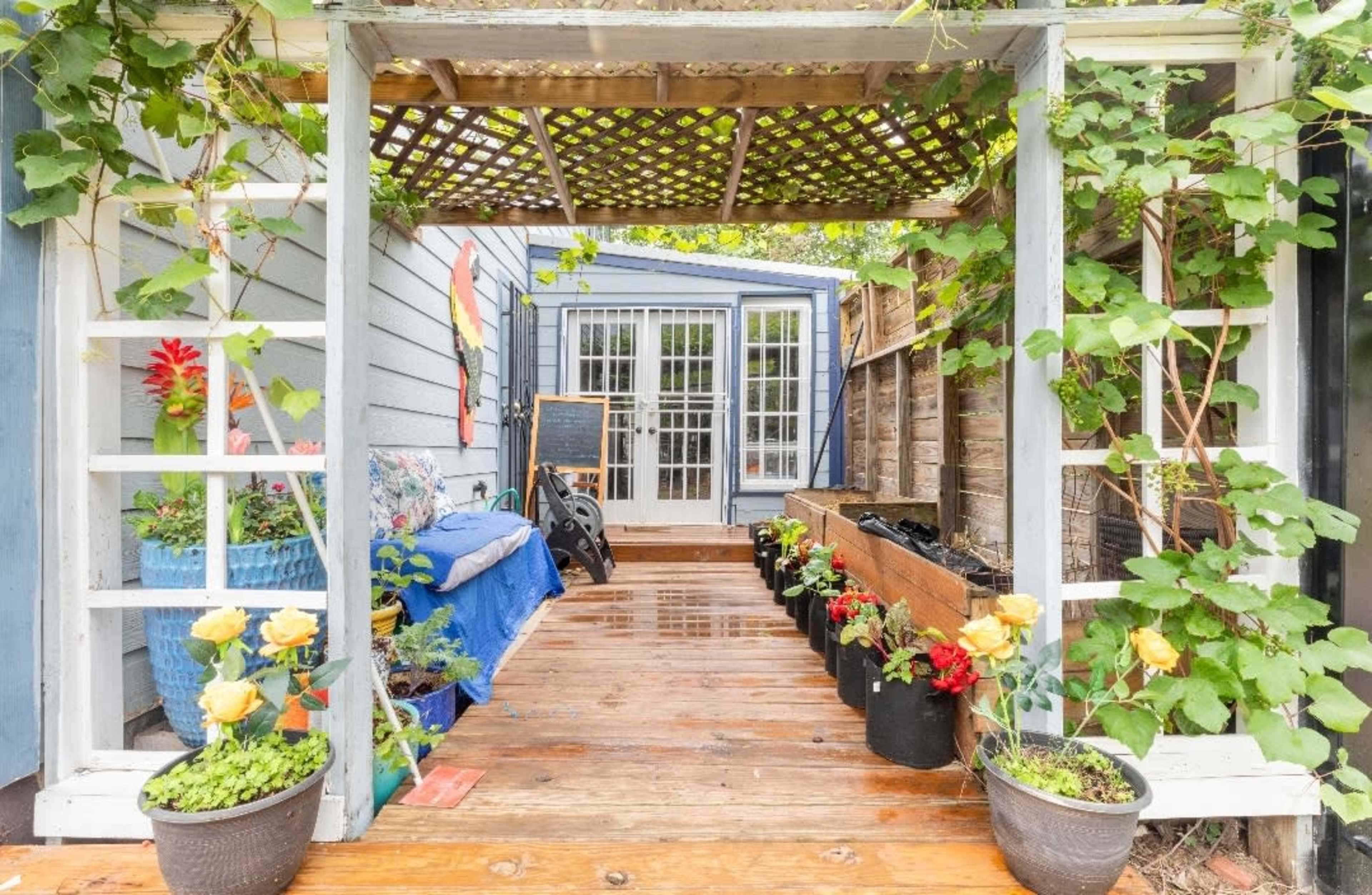 A wooden deck entrance covered by a trellis supports climbing plants, leading to a door framed by large windows.