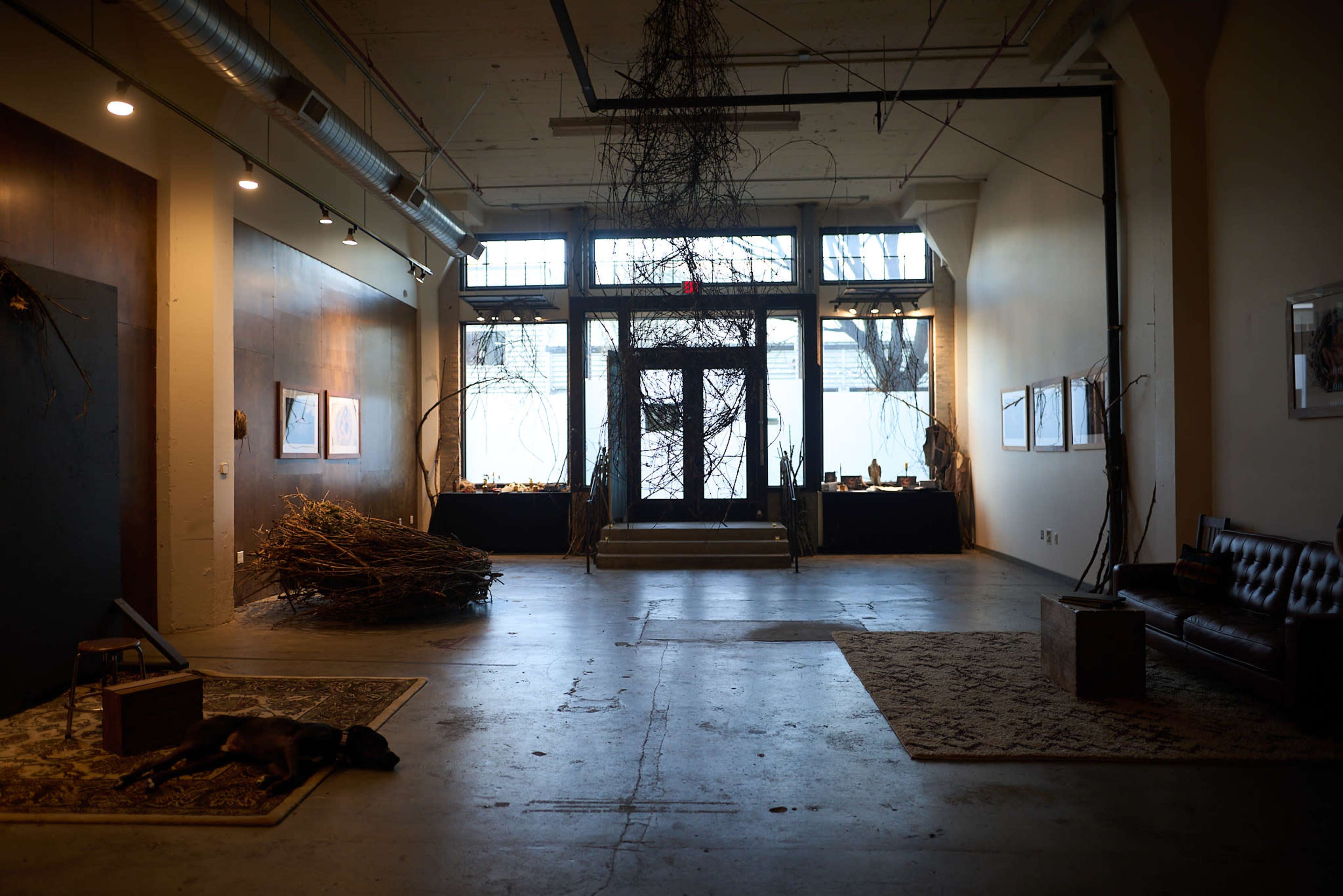 The image shows a spacious gallery with a minimalist aesthetic, featuring branches arranged artistically, a dark sofa, and a dog lying on the floor.