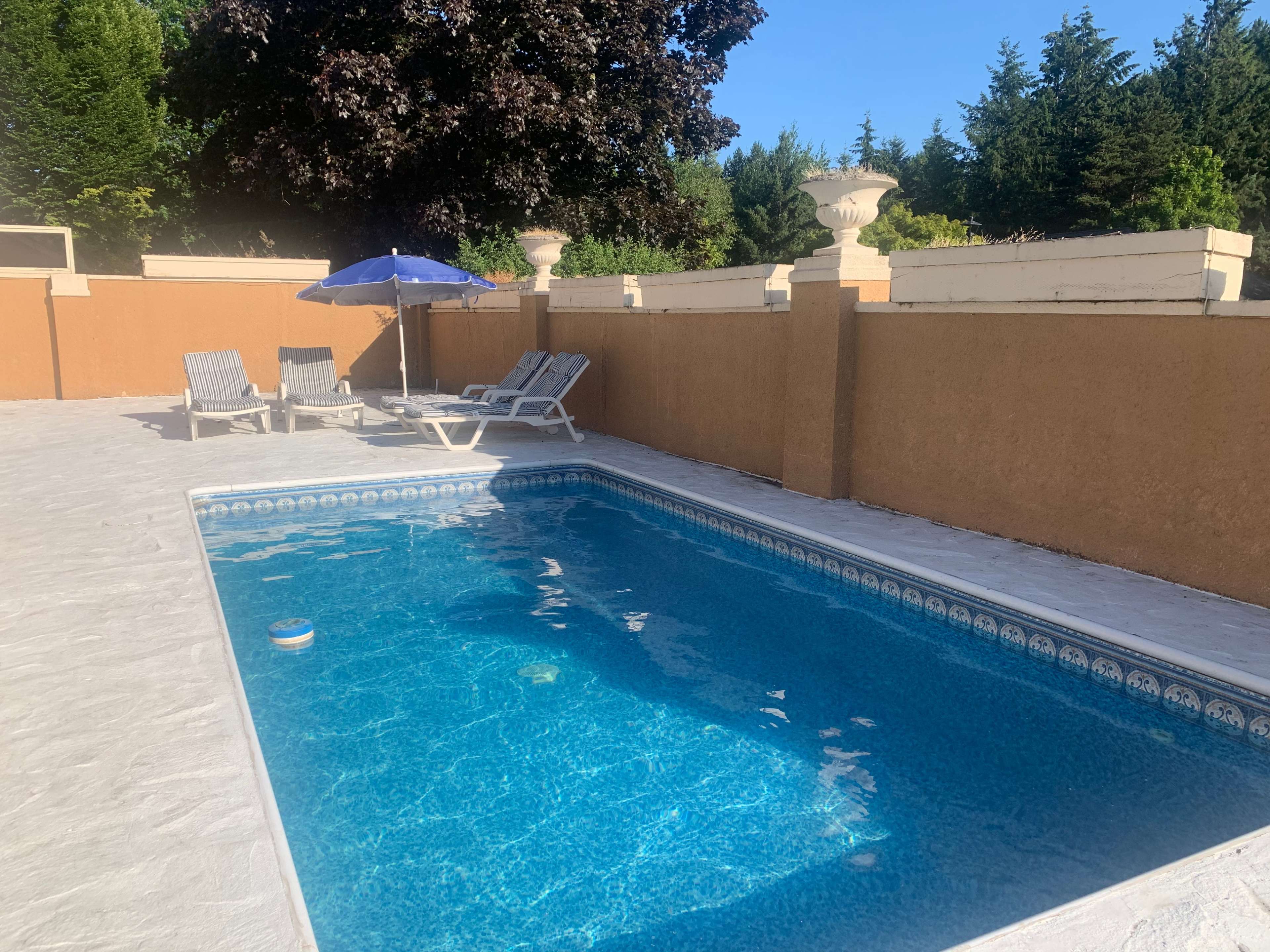 A swimming pool surrounded by lounge chairs and an umbrella, with a wall and trees in the background.