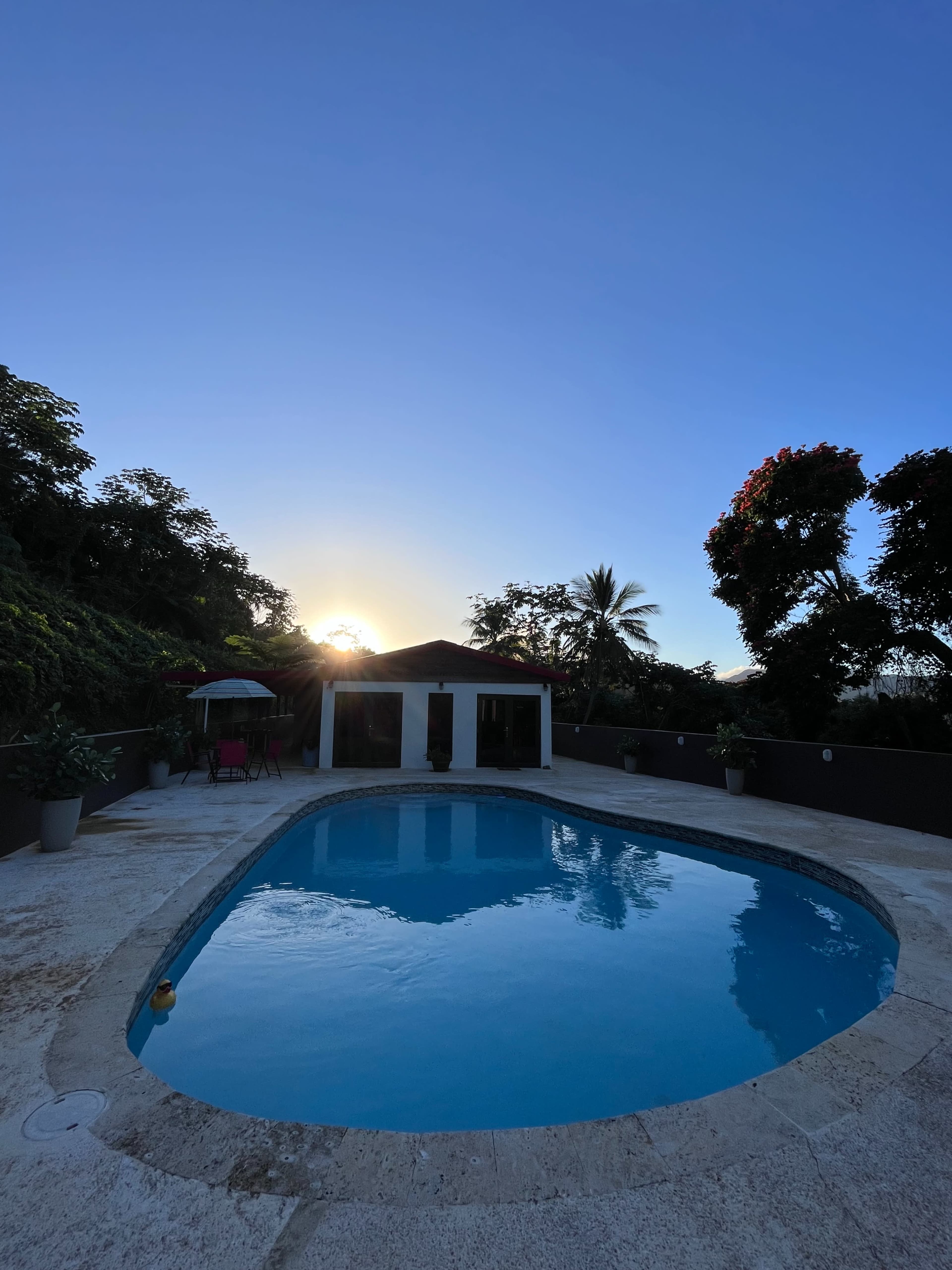 The image shows a serene pool area with a circular pool reflecting the sunset and surrounded by lush vegetation.