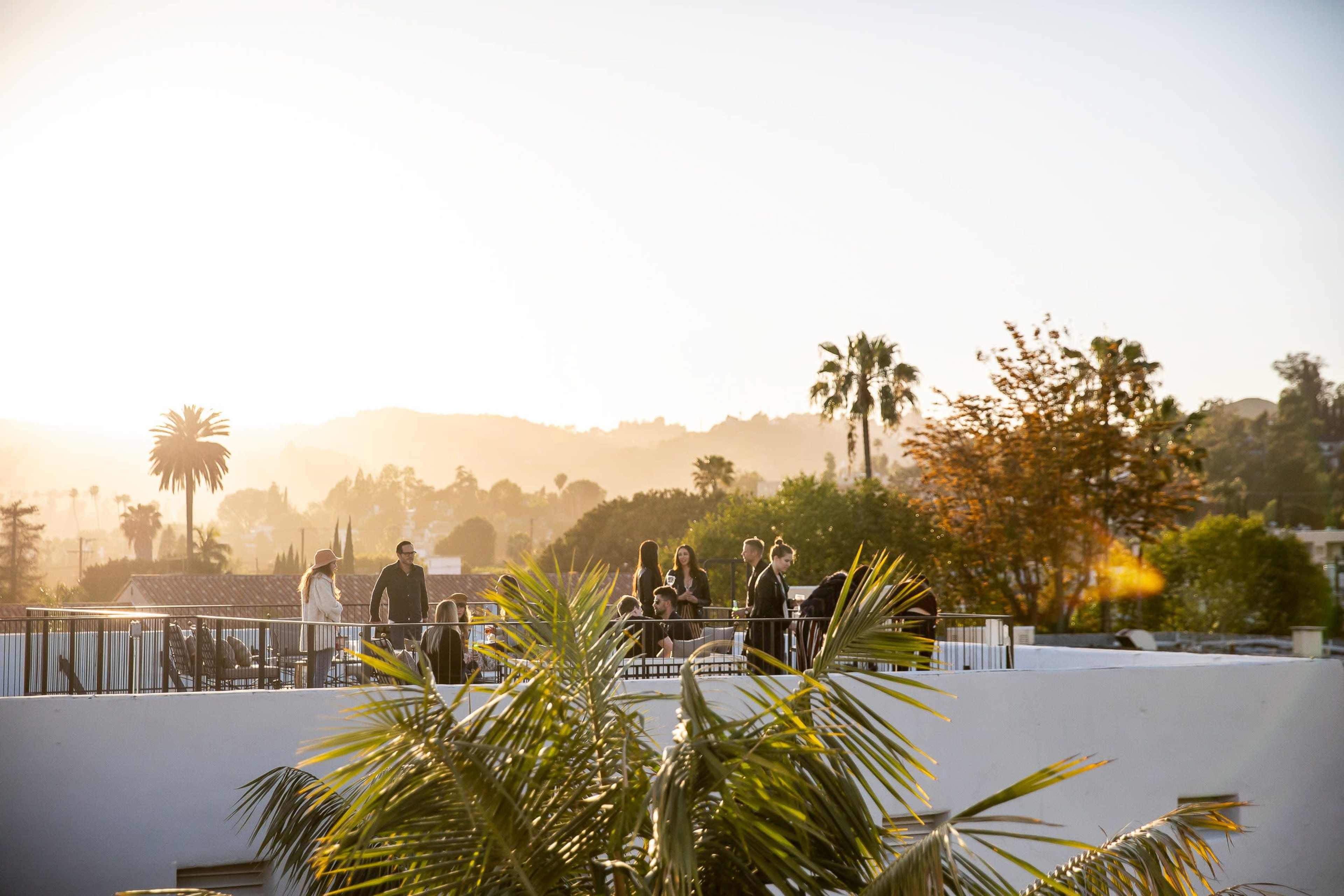 A group of people gathers on a rooftop terrace with palm trees, overlooking a scenic landscape at sunset.