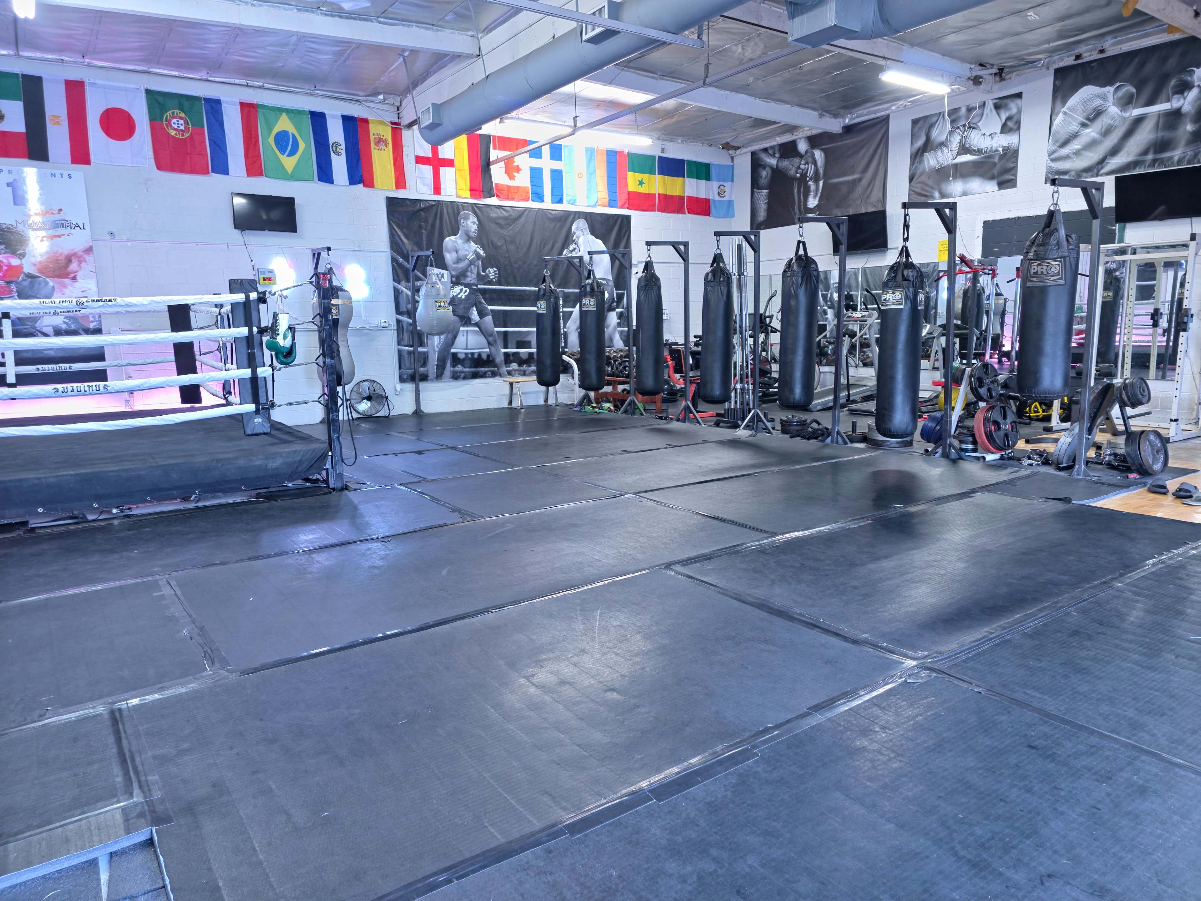 The image shows an indoor boxing gym with several punching bags and a boxing ring, surrounded by flags from various countries.