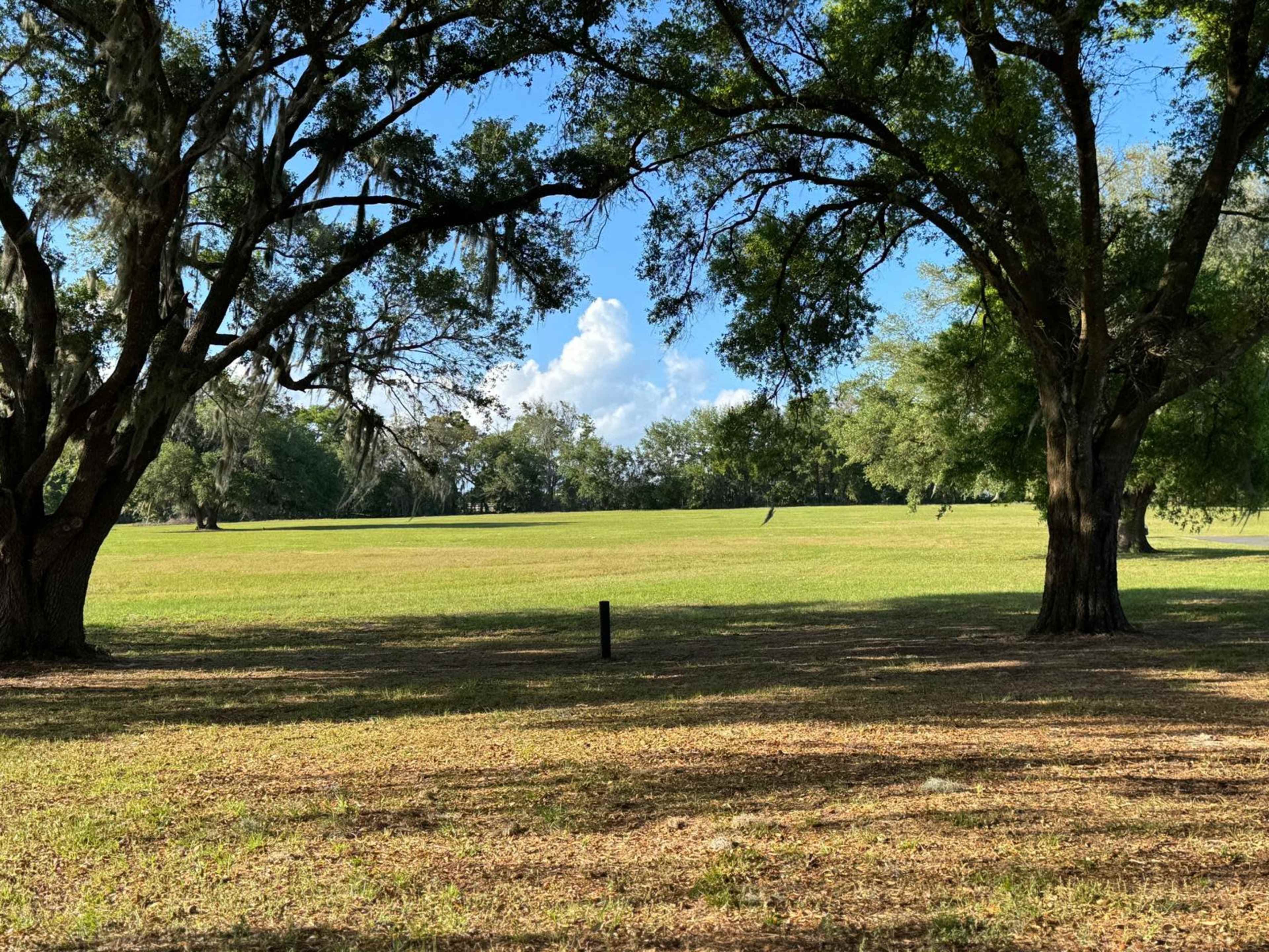 A wide grassy field is bordered by large trees with Spanish moss hanging from their branches under a blue sky with scattered clouds.