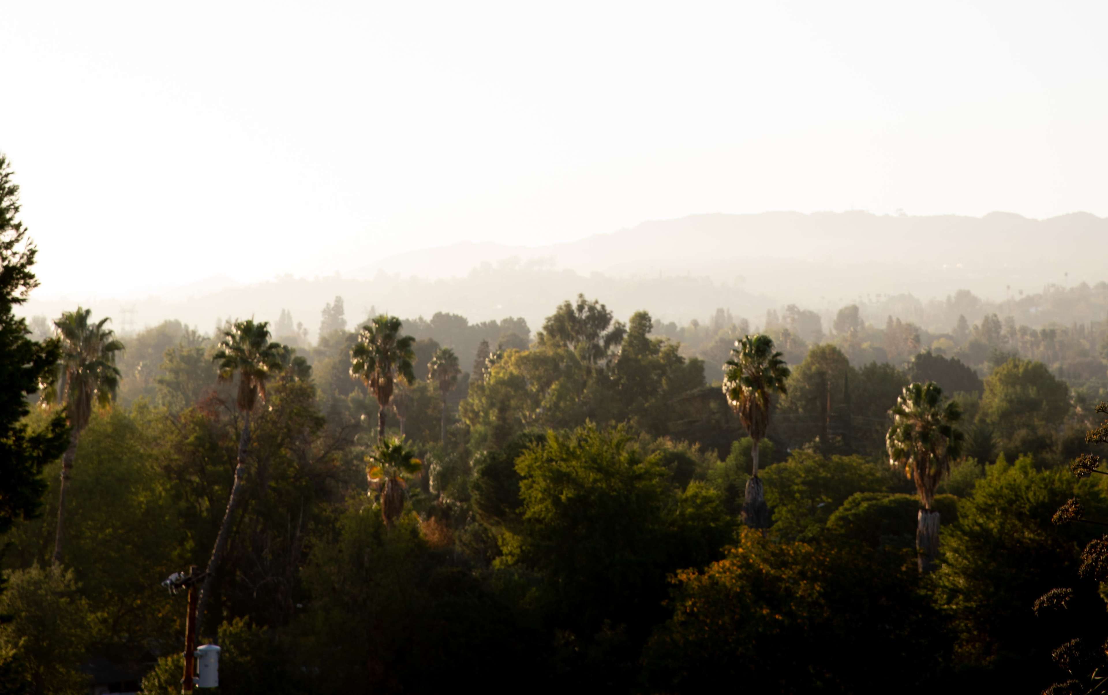 Caster House Image in Tarzana, Tarzana, CA