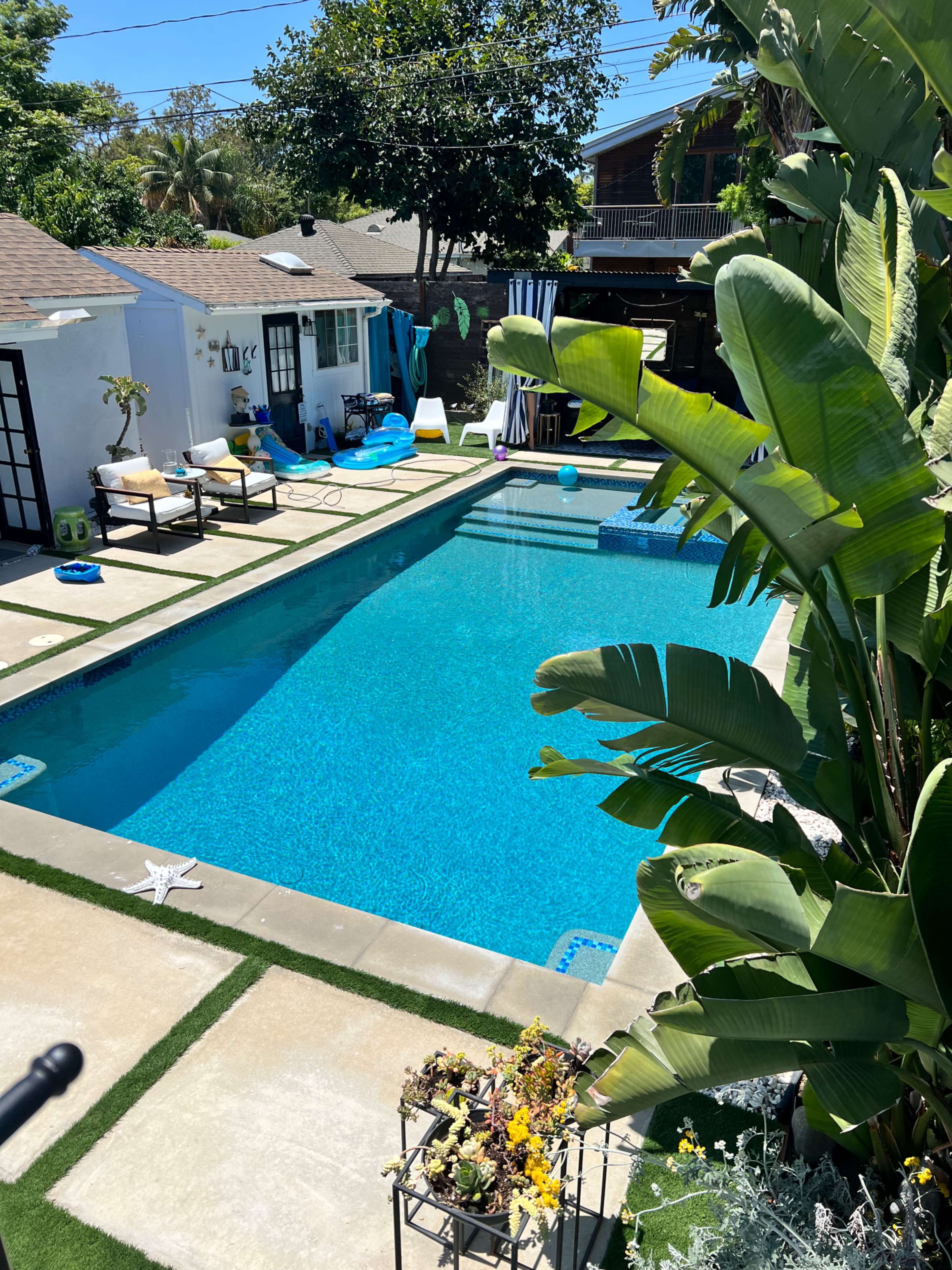 A clear swimming pool surrounded by paved areas and tropical plants in a residential backyard.