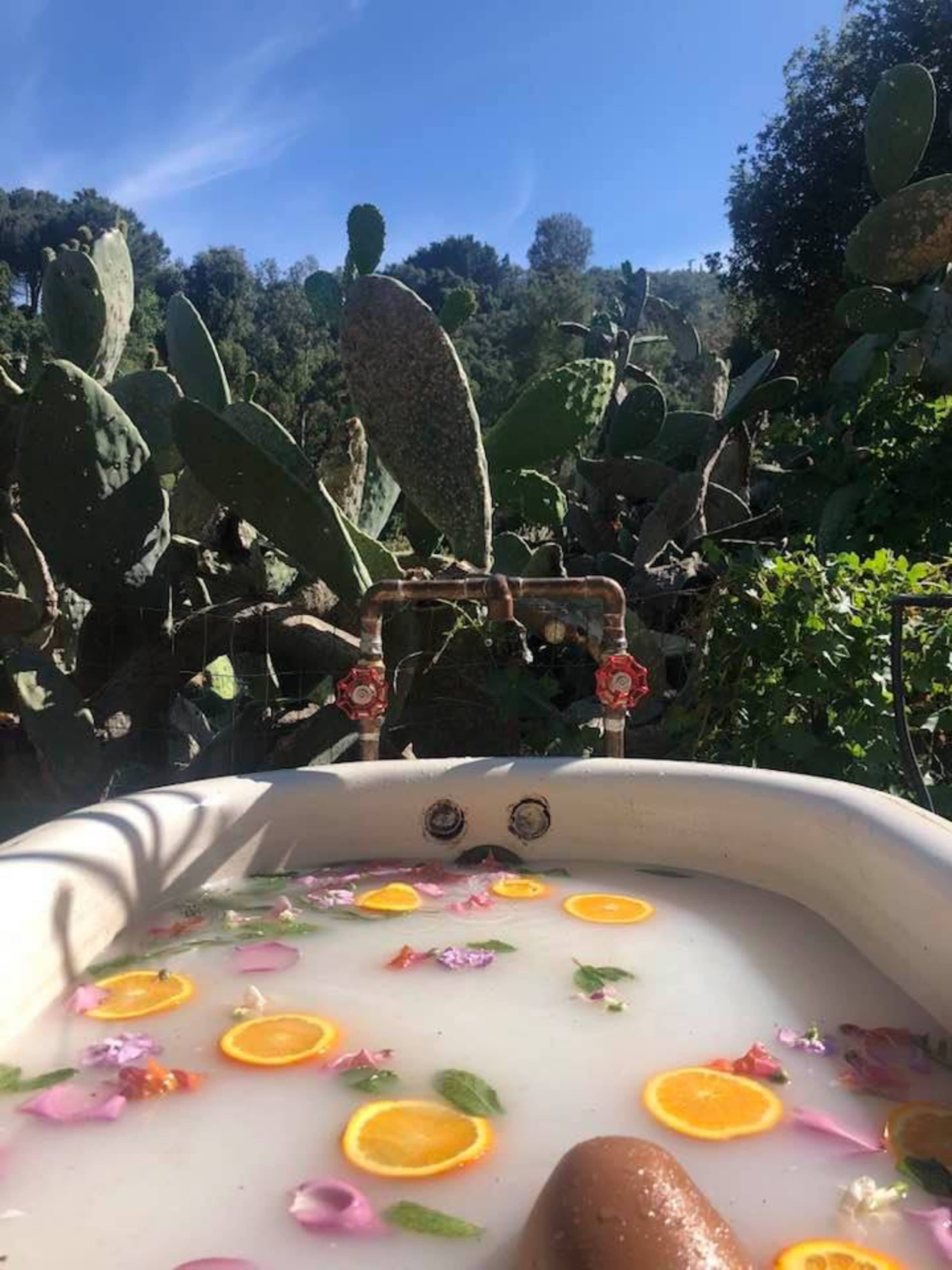 A person relaxes in a bath filled with flower petals and orange slices, surrounded by a garden of cacti and greenery under a blue sky.