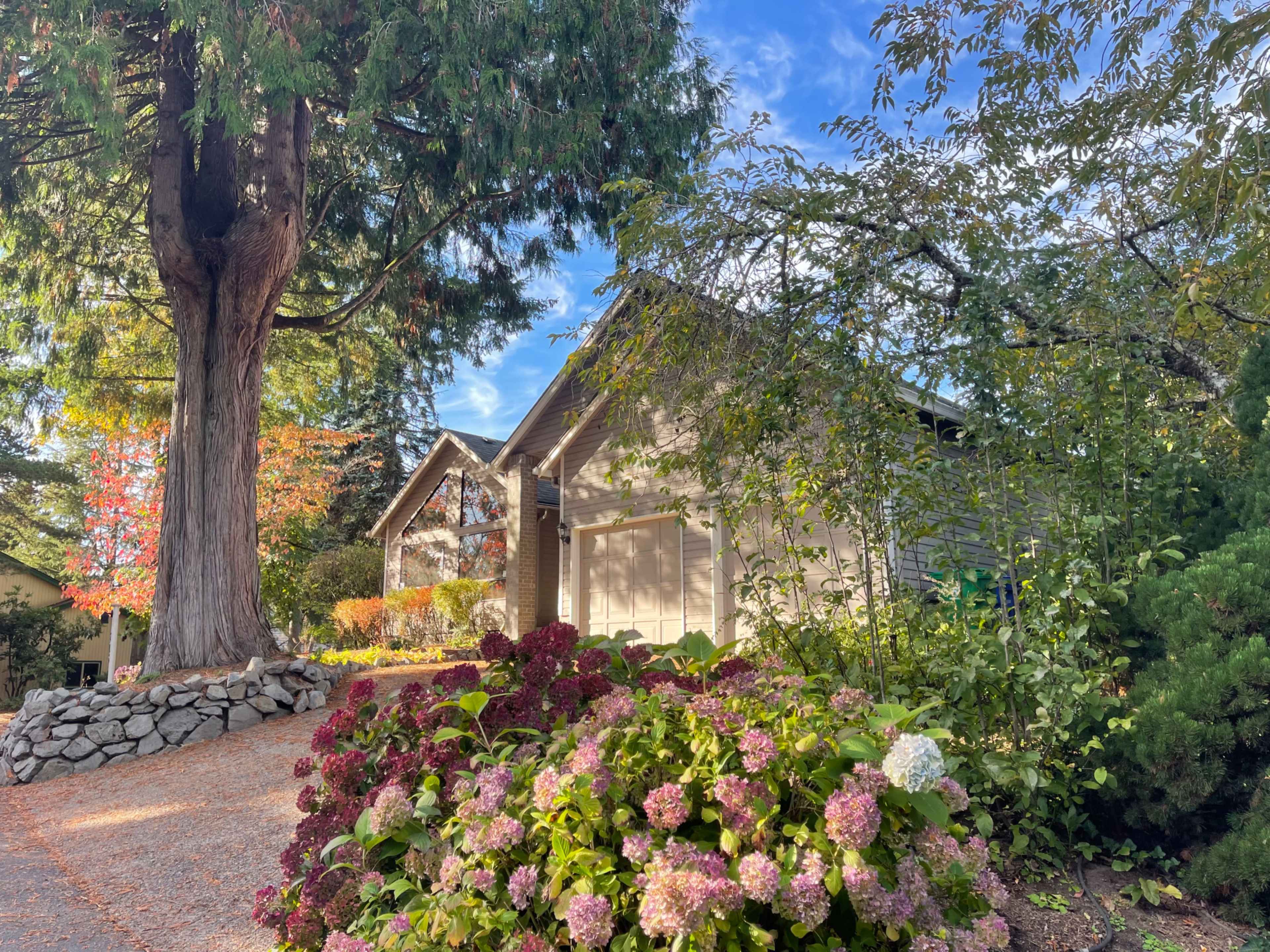 The image shows a residential house surrounded by various plants and flowers, with a large tree and a clear blue sky in the background.