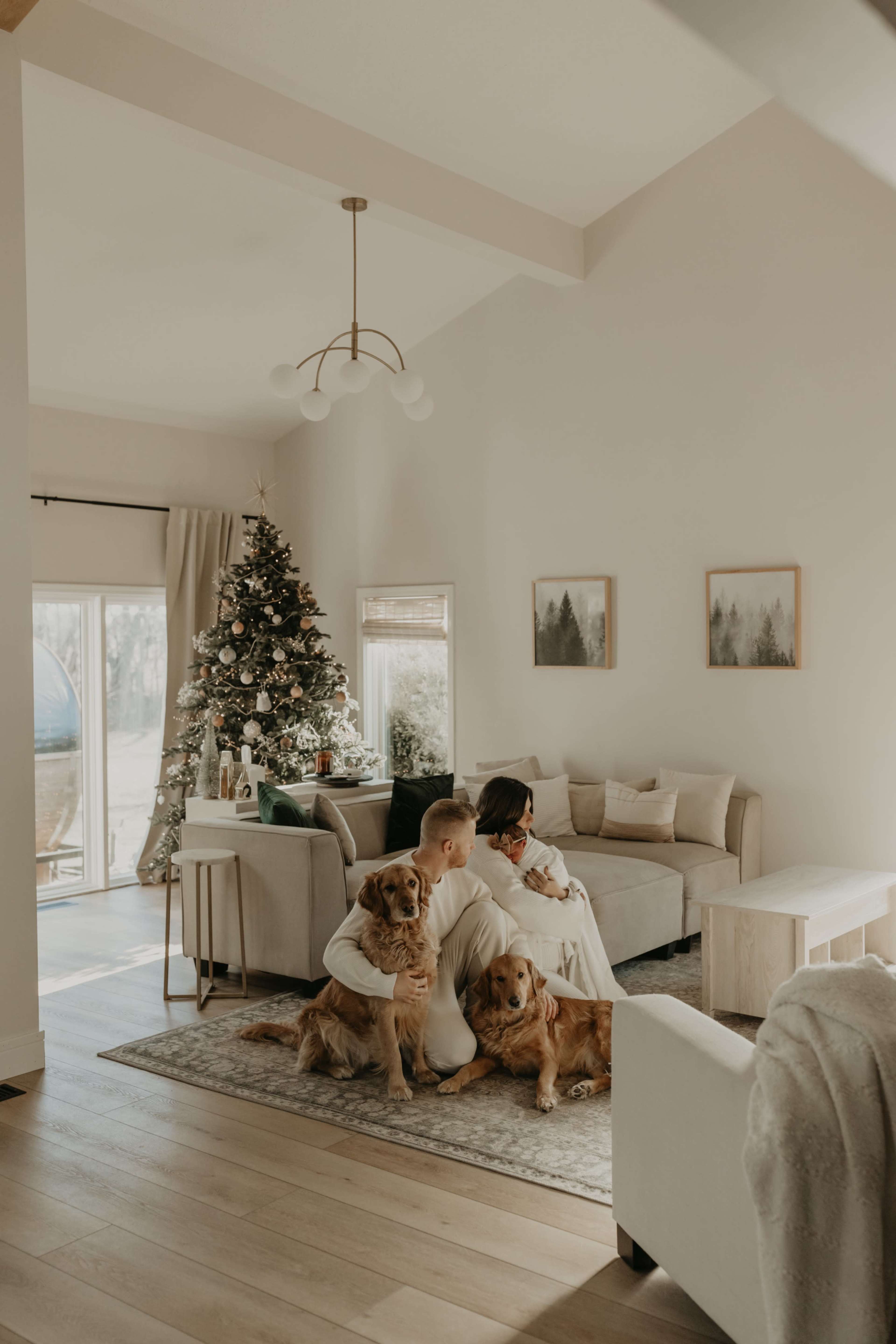 Natural Light and White Home with Barrel Sauna Image in Farmington, Farmington, NY