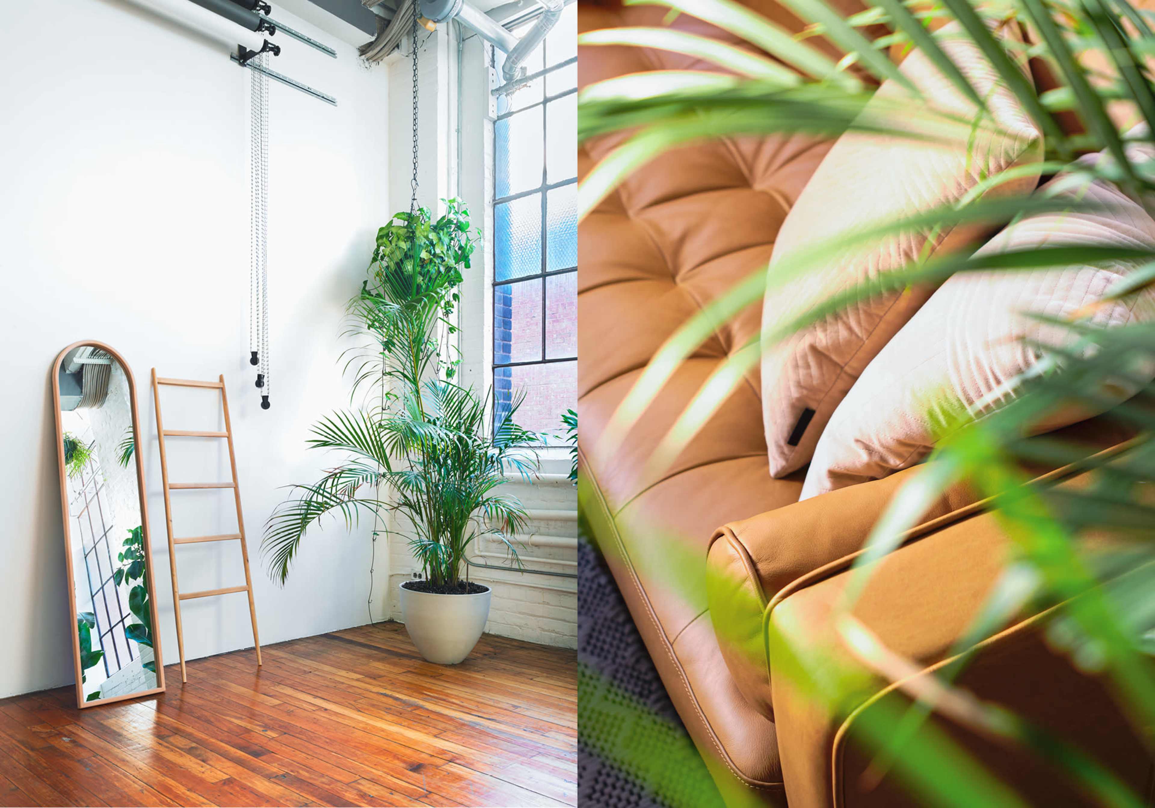 A bright, minimalistic interior with a wooden floor, a tall mirror leaning against the wall, a potted plant, and a cozy couch surrounded by green foliage.
